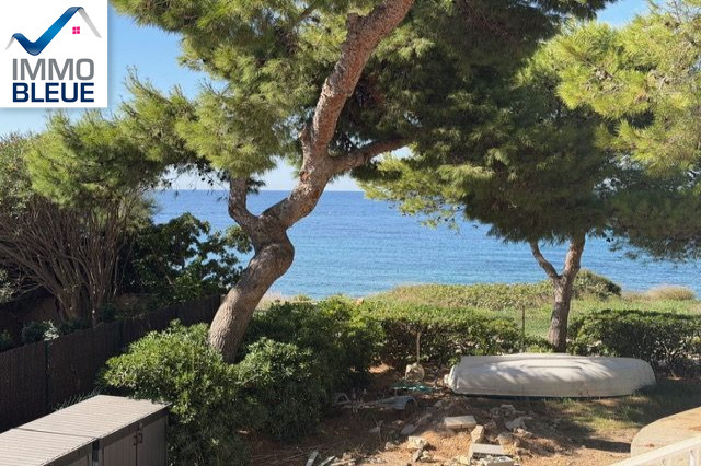 Agence immobilière de L'Immobilière Bleue
