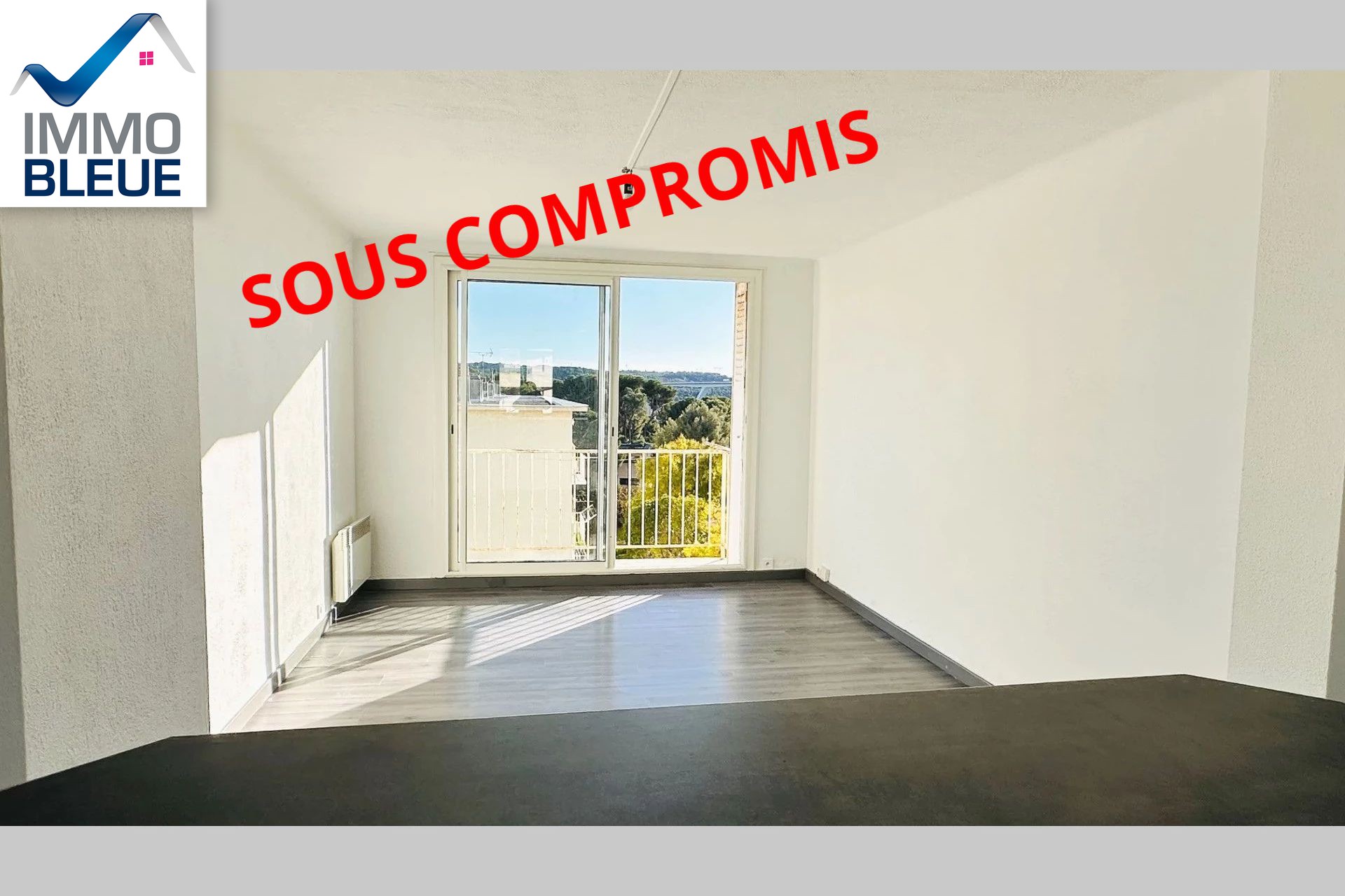 Agence immobilière de L'Immobilière Bleue