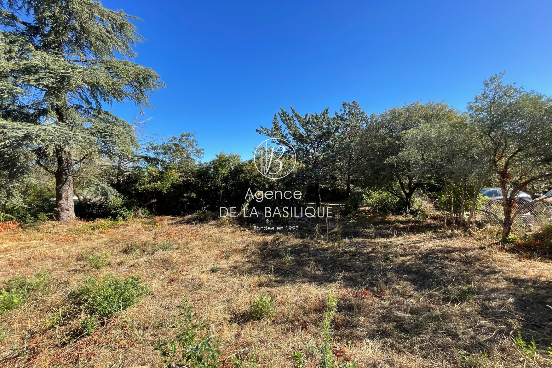 Agence immobilière de Agence de la basilique