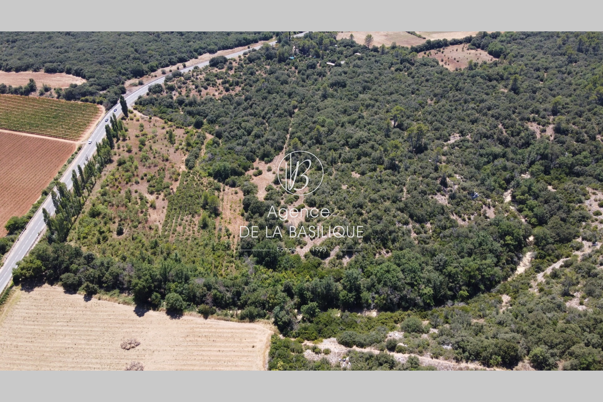 Agence immobilière de Agence de la basilique