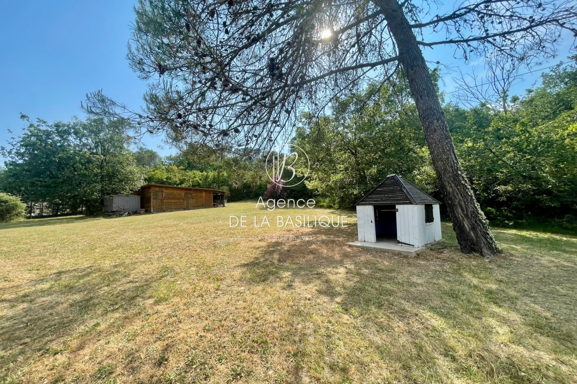 Agence immobilière de Agence de la basilique