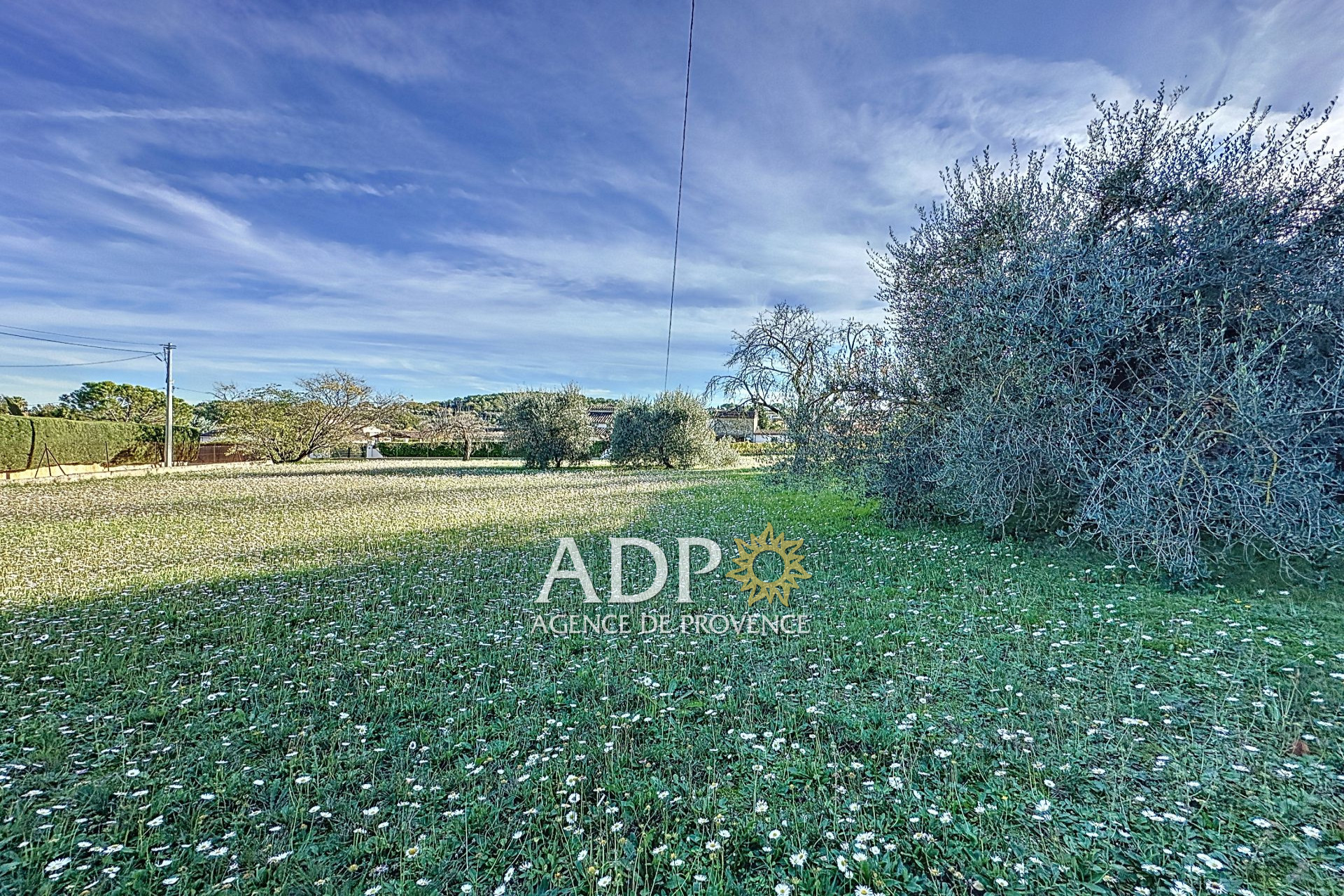 Agence immobilière de Agence de Provence