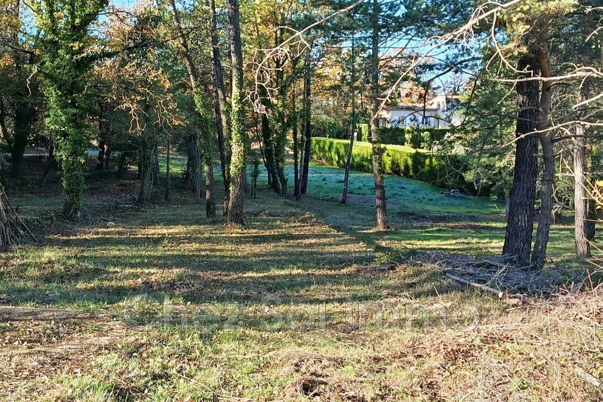 Agence immobilière de Chez Soi Immo