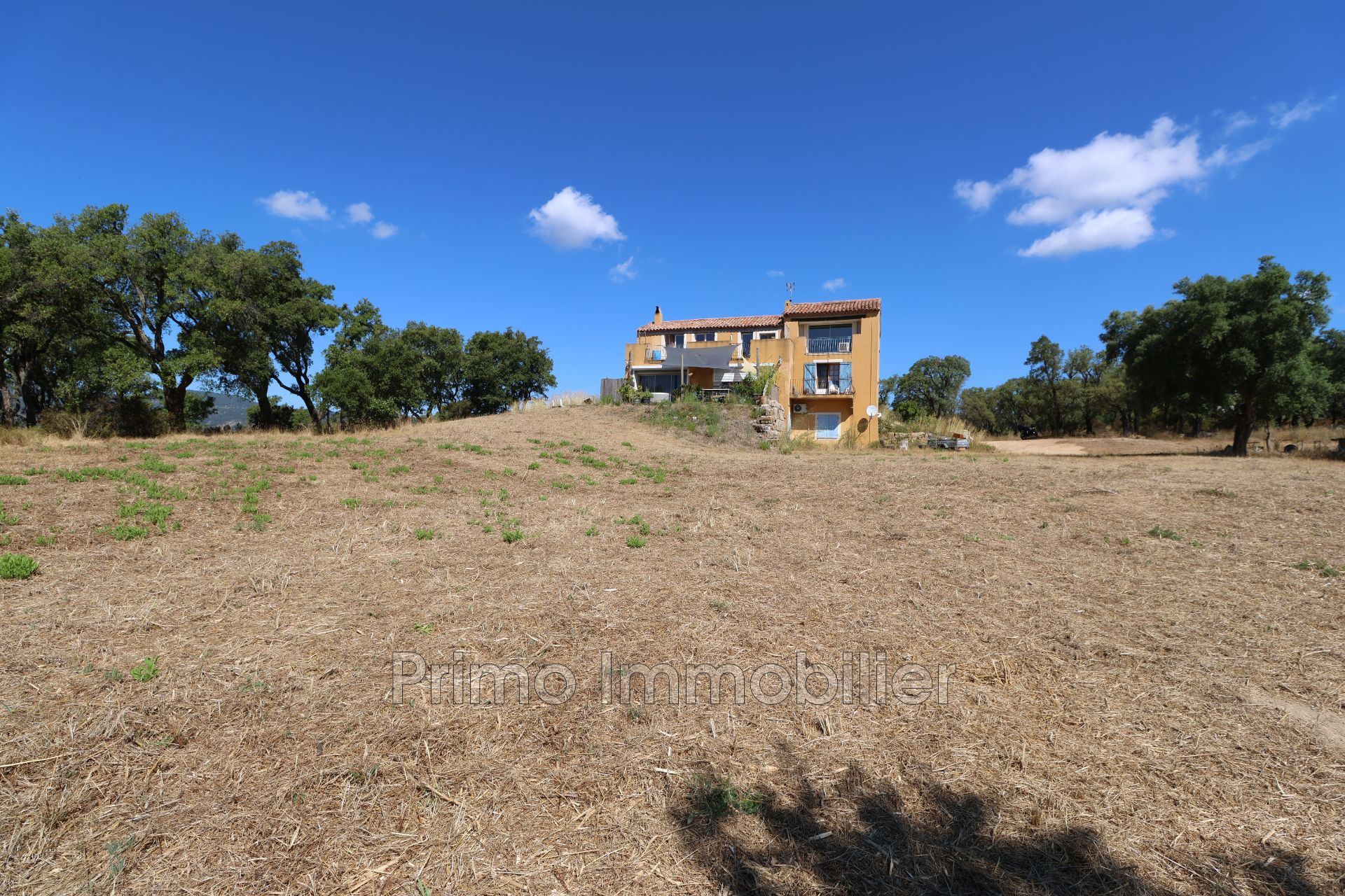 Agence immobilière de Primo Immobilier