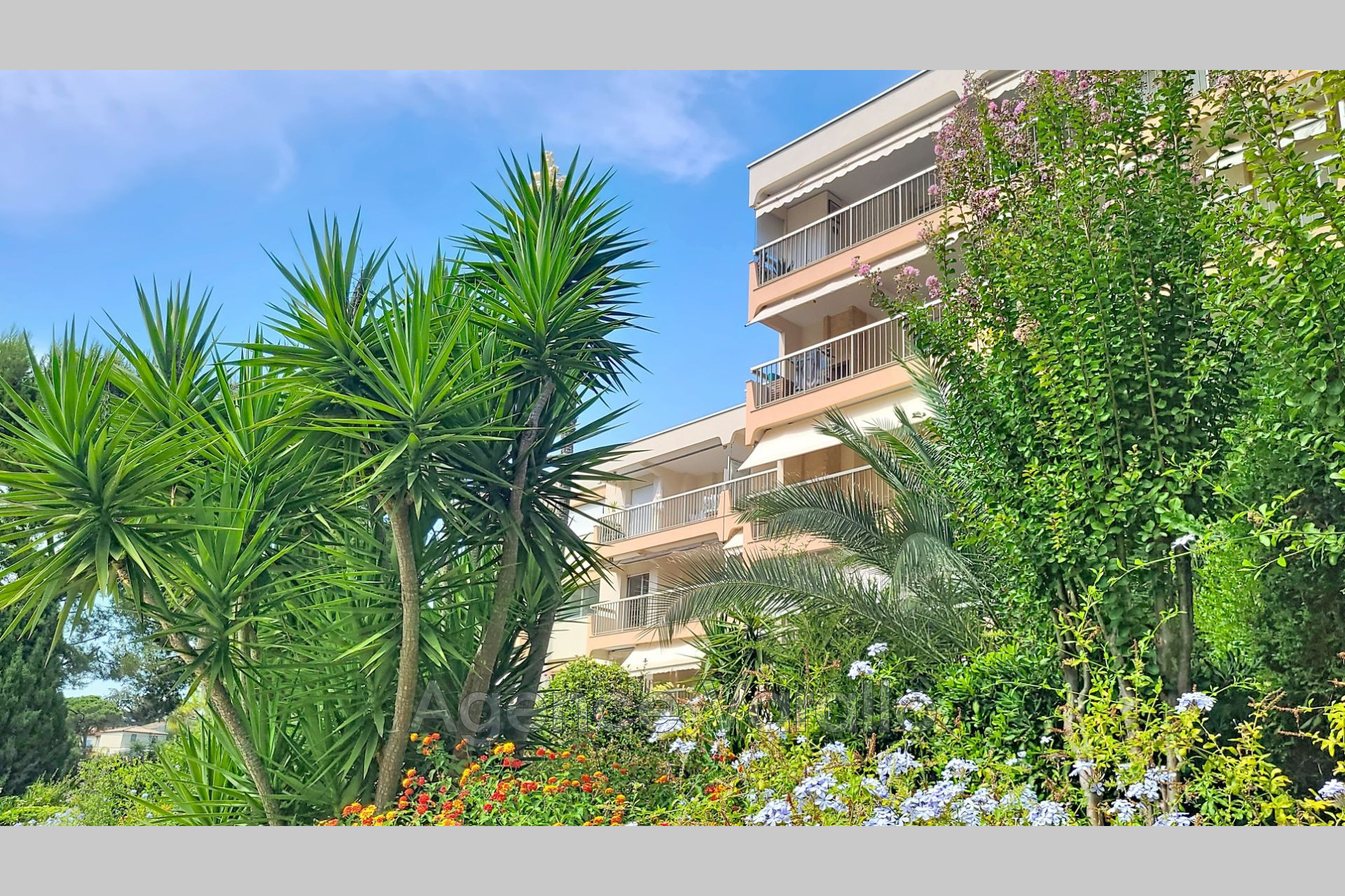 Agence immobilière de Agence Varallo