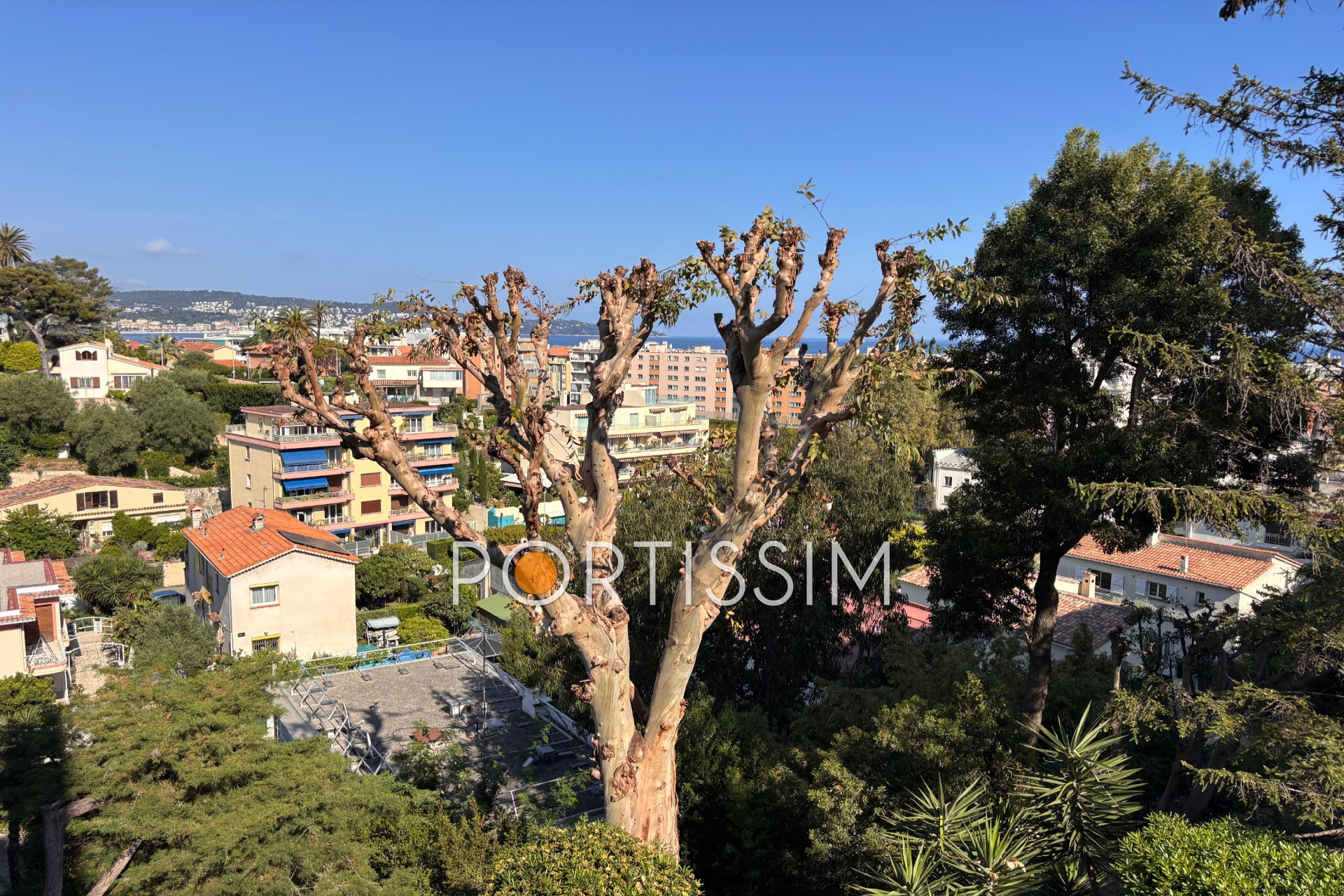 Agence immobilière de Portissim