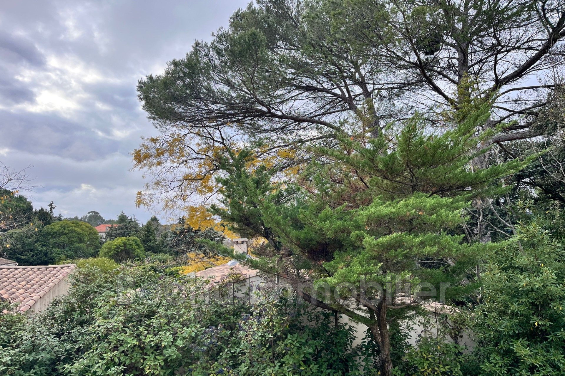 Agence immobilière de Bochu Immobilier