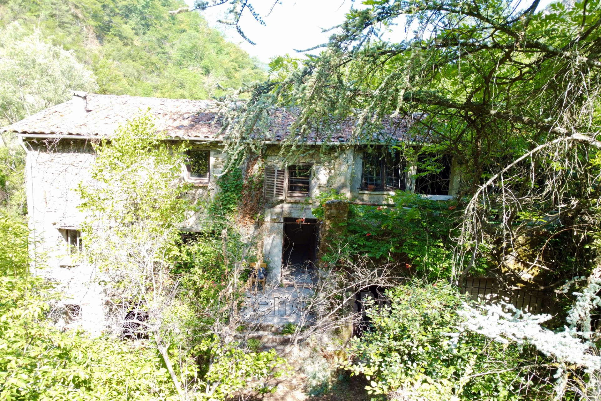 Agence immobilière de Agence BBii