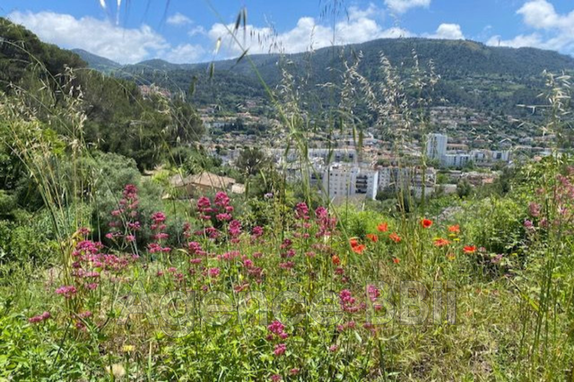 Agence immobilière de Agence BBii