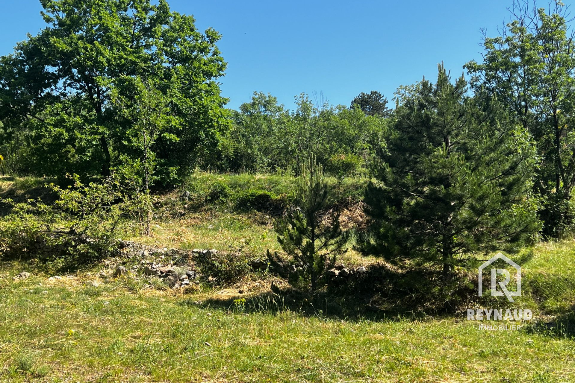 Agence immobilière de Agence Les Clés de l'Immo