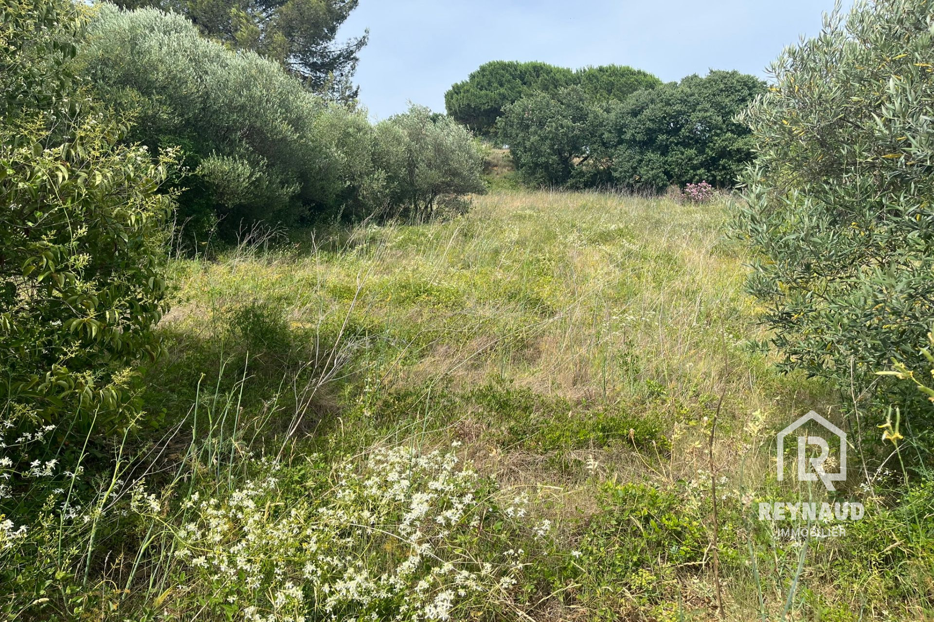 Agence immobilière de Agence Les Clés de l'Immo