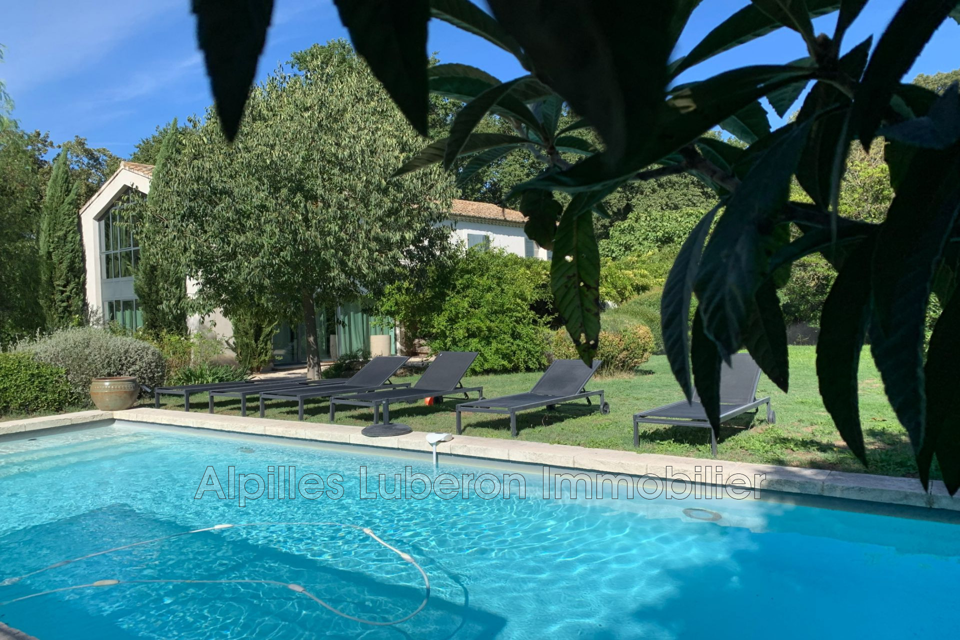 Agence immobilière de Alpilles Luberon Immobilier