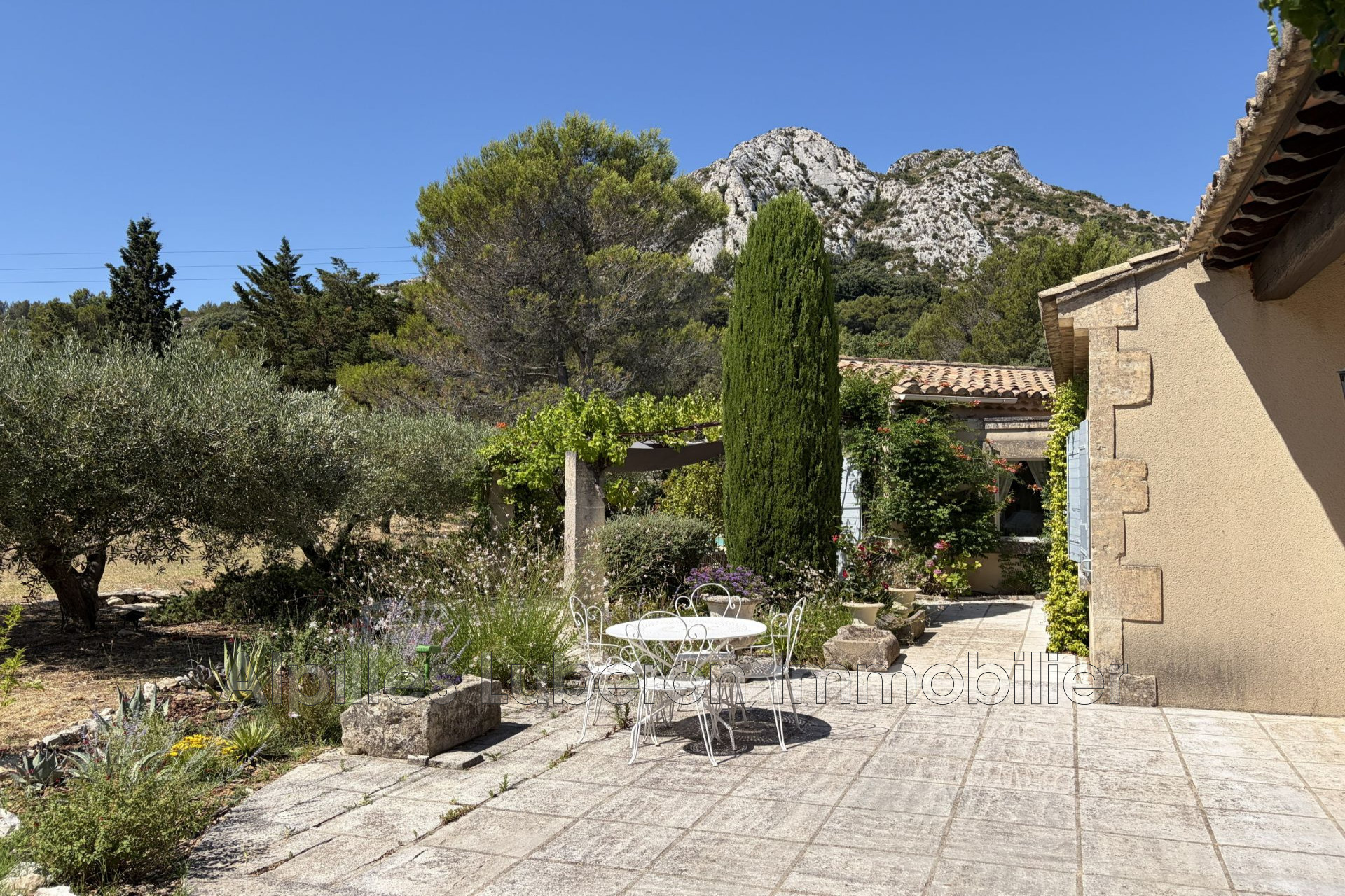 Agence immobilière de Alpilles Luberon Immobilier