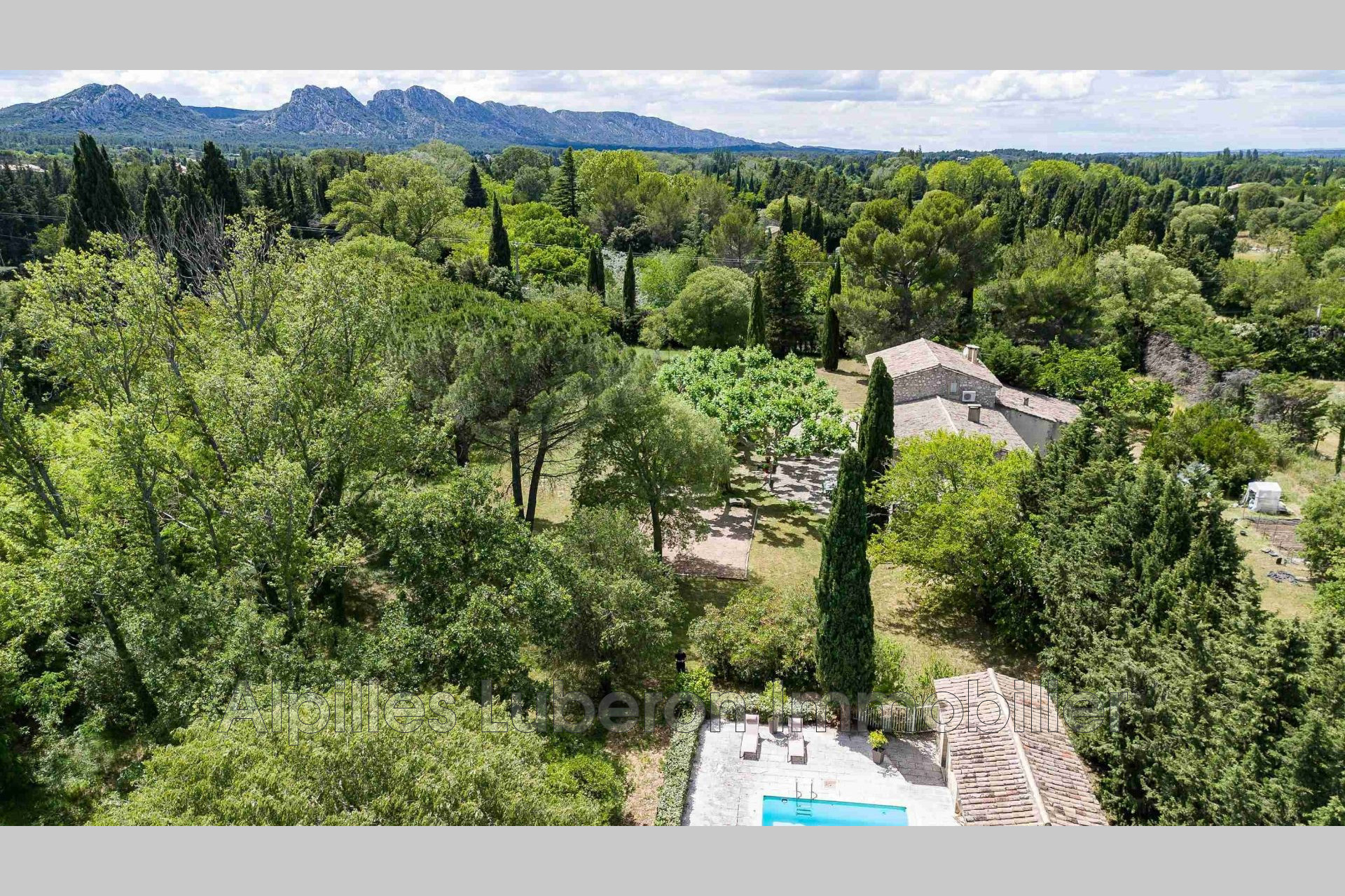 Agence immobilière de Alpilles Luberon Immobilier