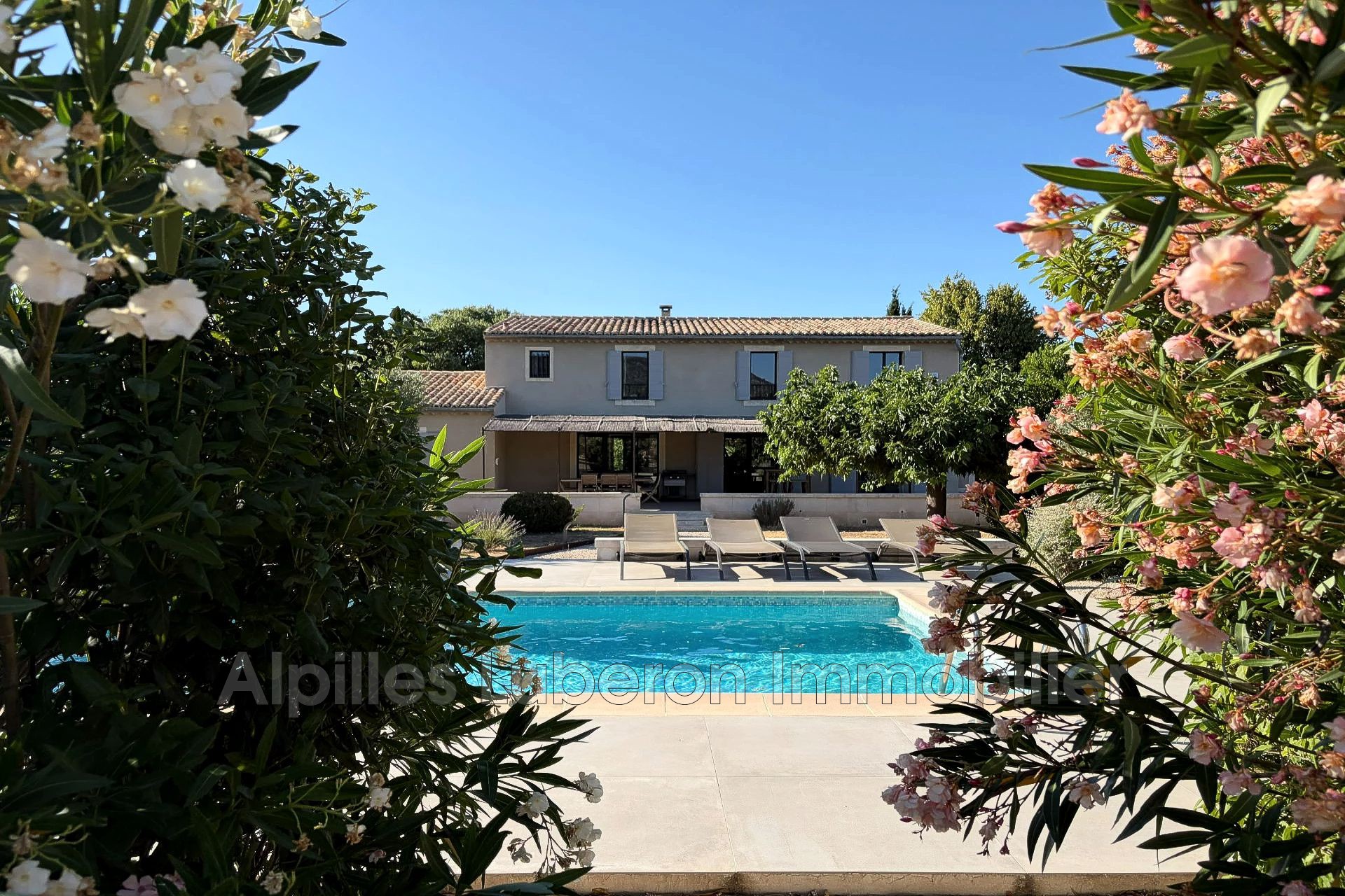 Agence immobilière de Alpilles Luberon Immobilier