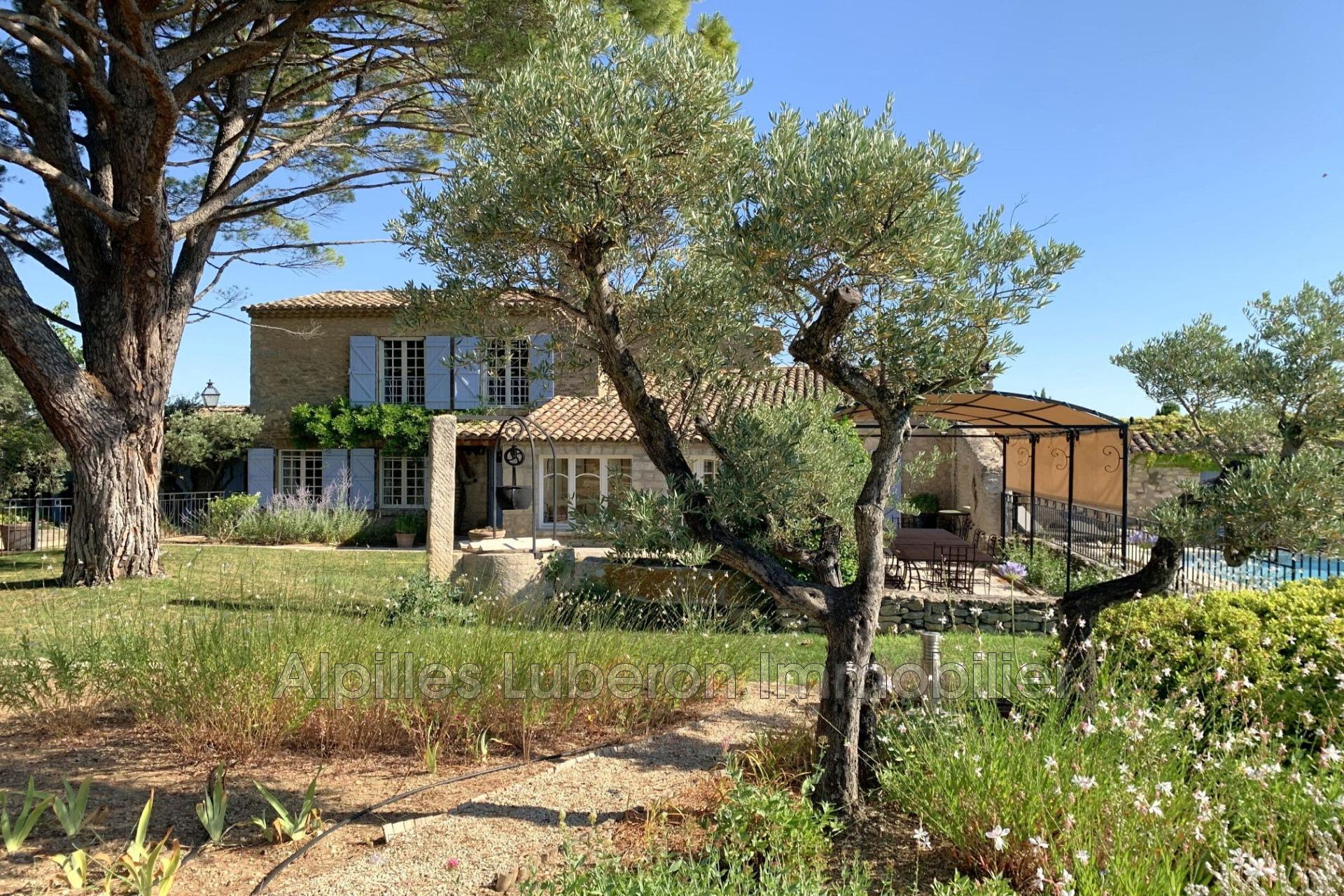 Agence immobilière de Alpilles Luberon Immobilier