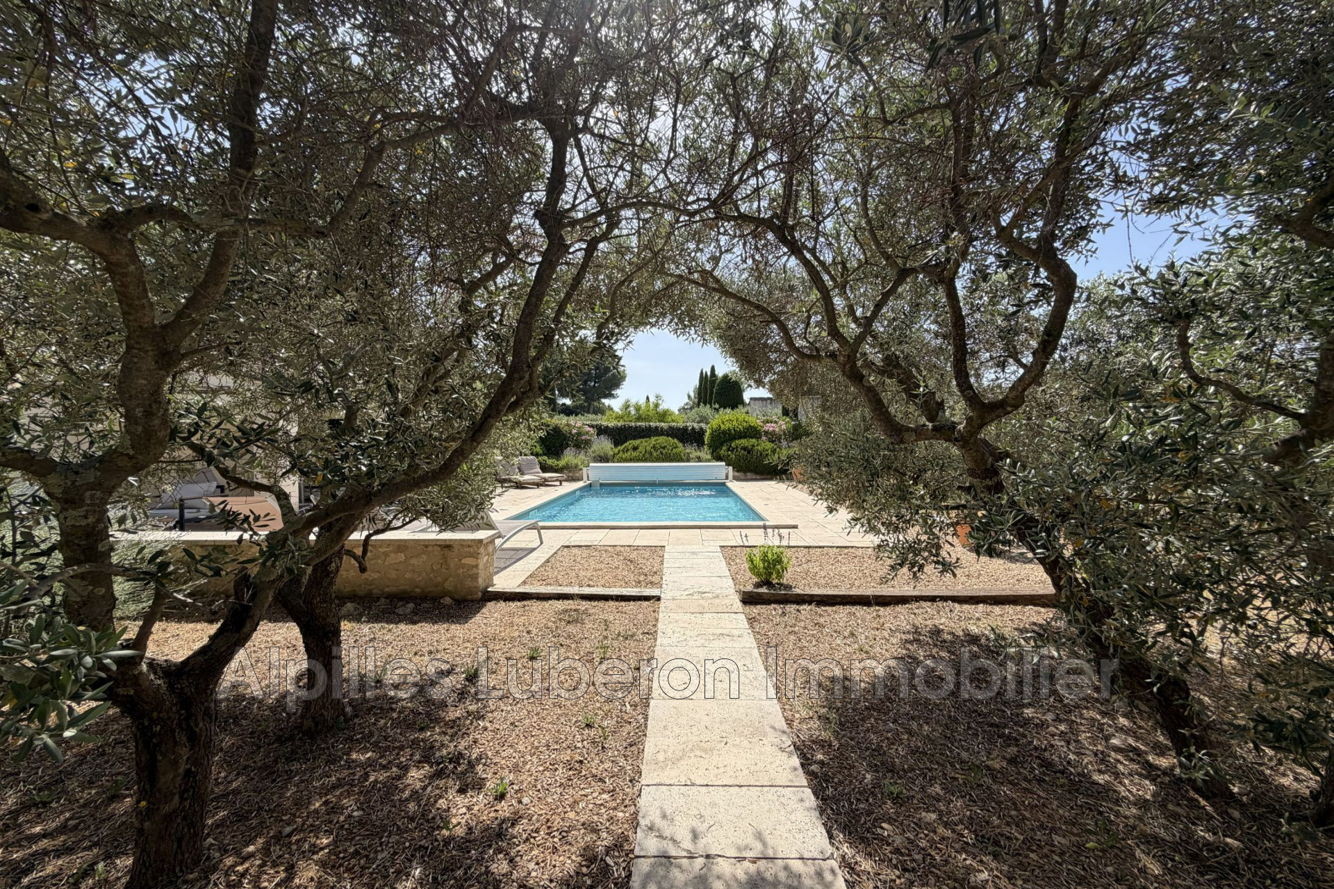 Agence immobilière de Alpilles Luberon Immobilier
