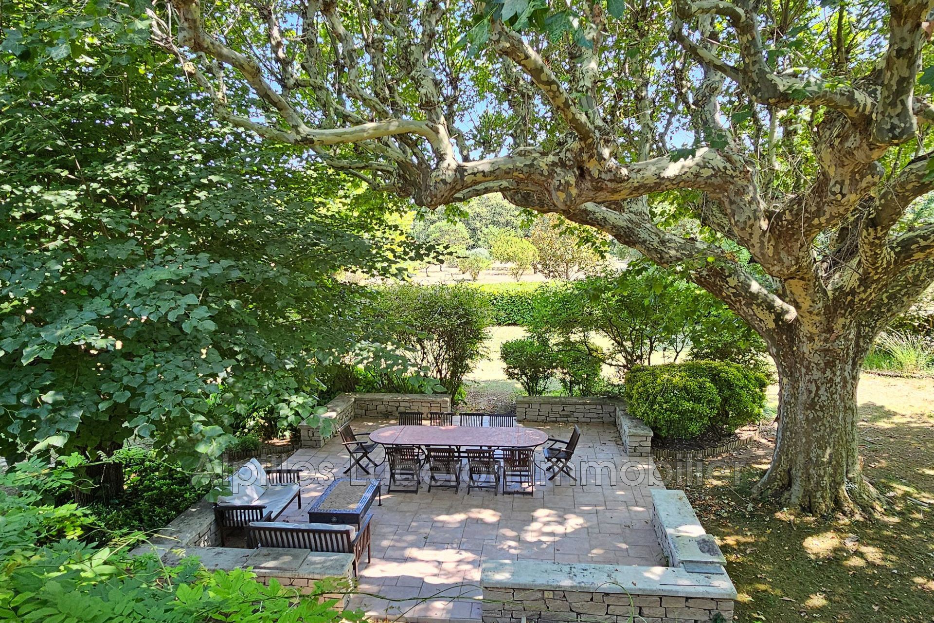 Agence immobilière de Alpilles Luberon Immobilier