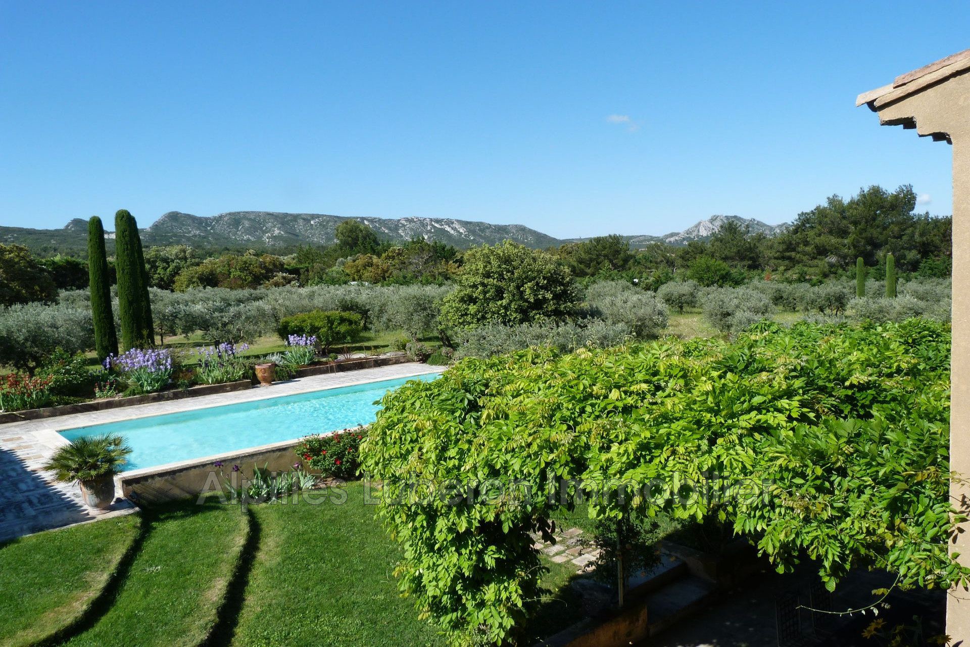 Agence immobilière de Alpilles Luberon Immobilier