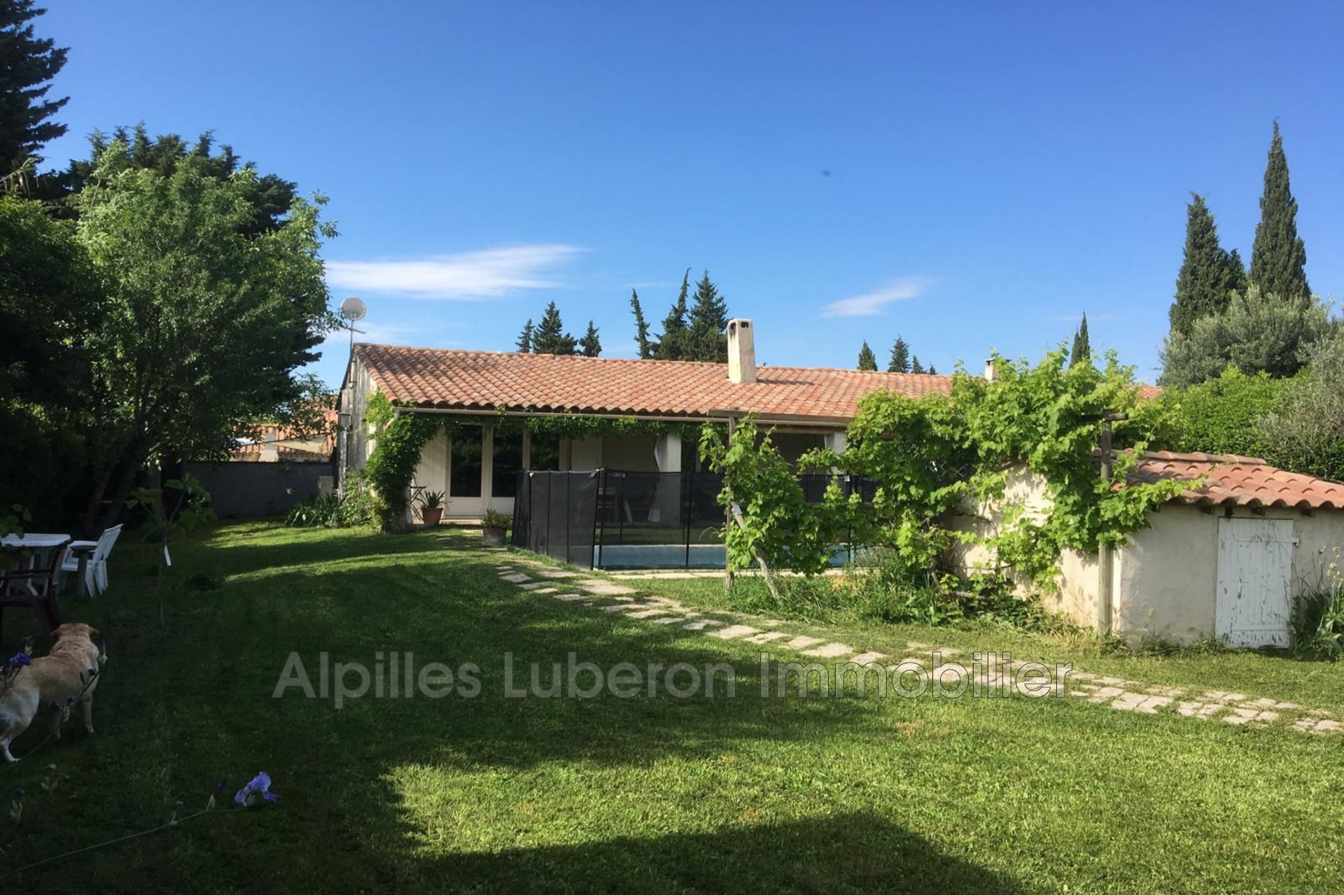 Agence immobilière de Alpilles Luberon Immobilier