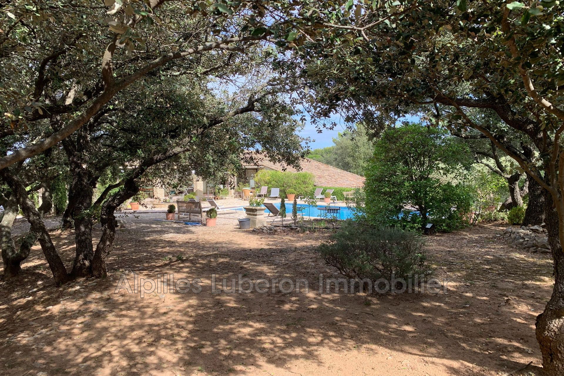 Agence immobilière de Alpilles Luberon Immobilier