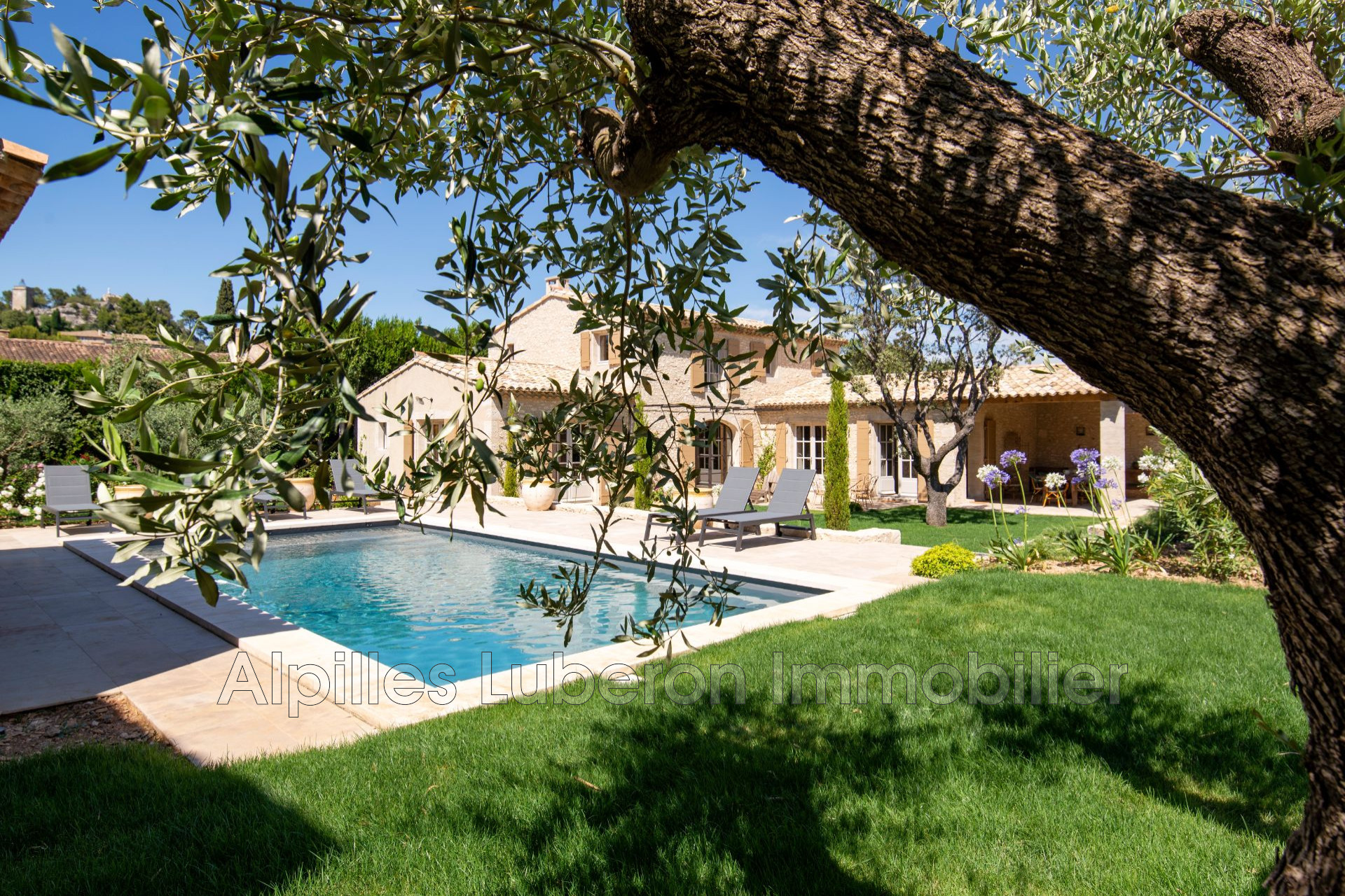 Agence immobilière de Alpilles Luberon Immobilier