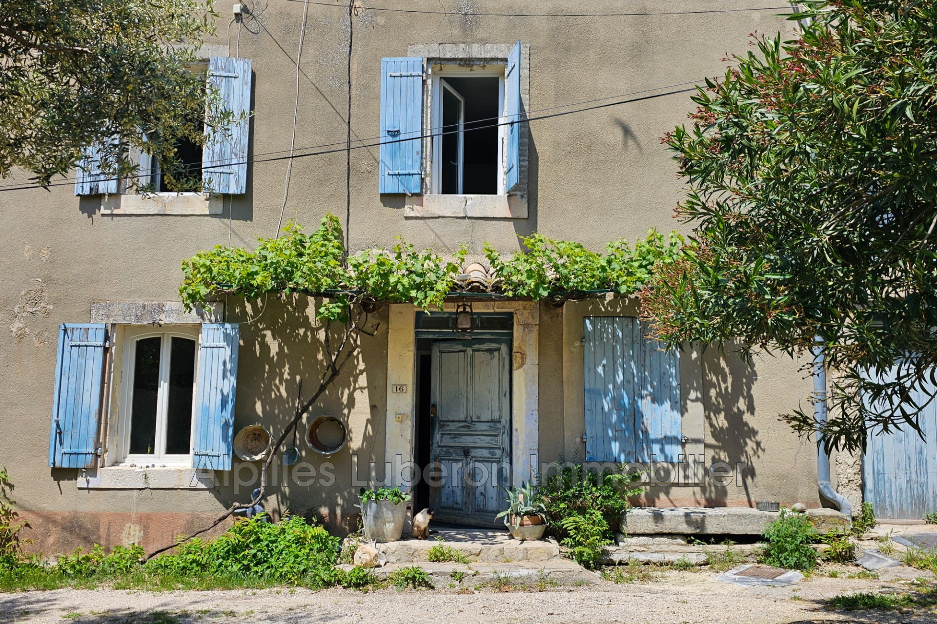 Agence immobilière de Alpilles Luberon Immobilier