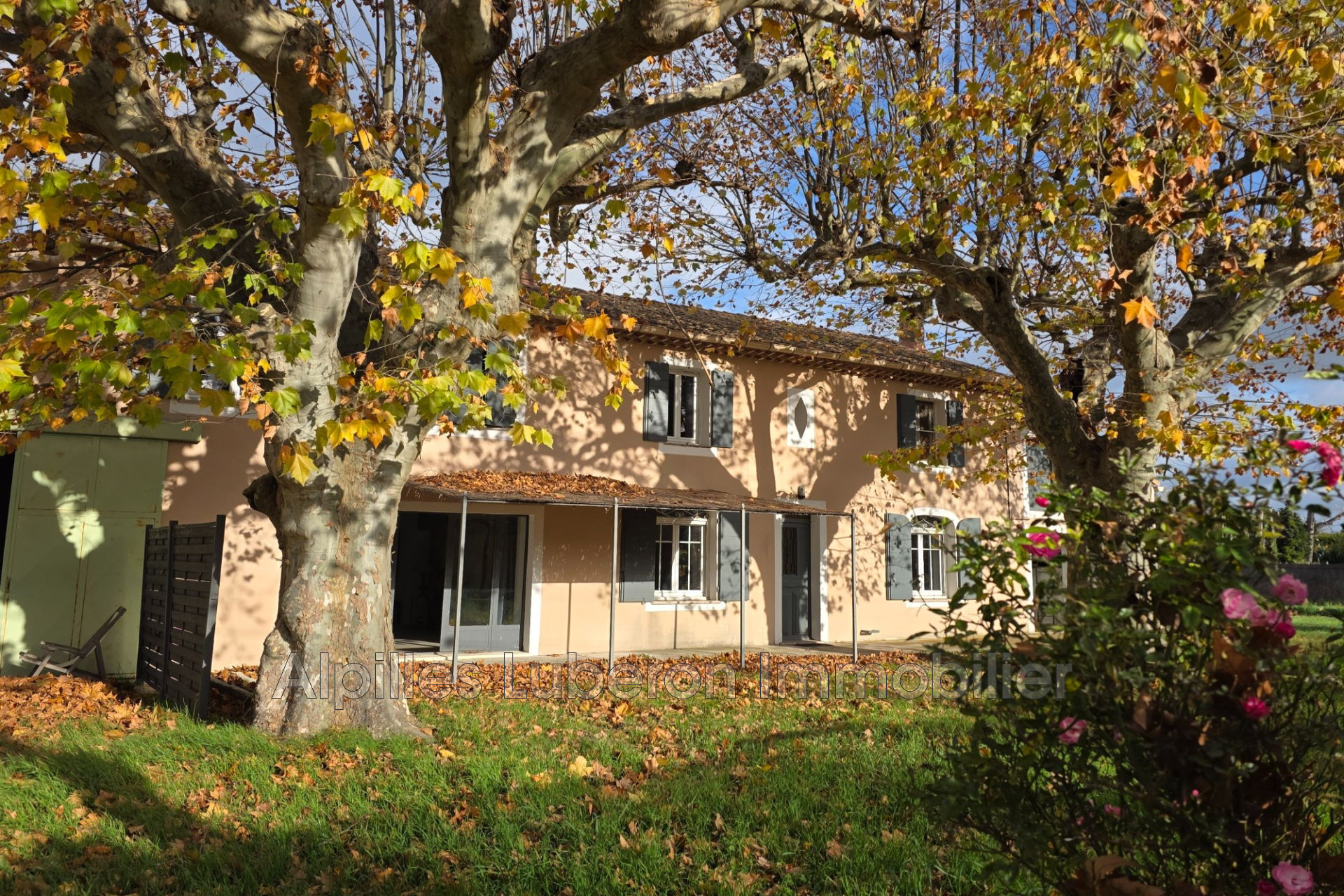 Agence immobilière de Alpilles Luberon Immobilier
