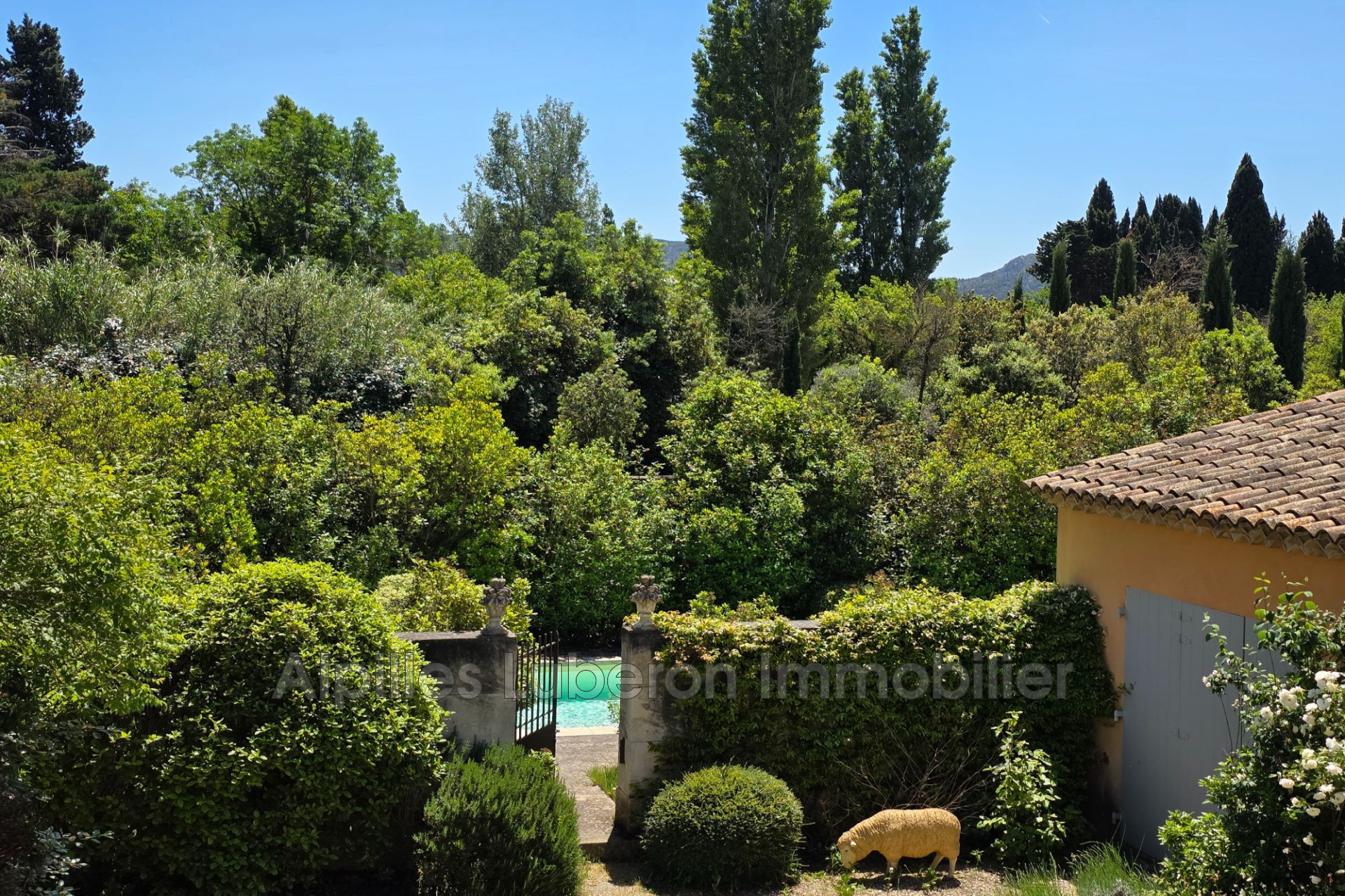 Agence immobilière de Alpilles Luberon Immobilier