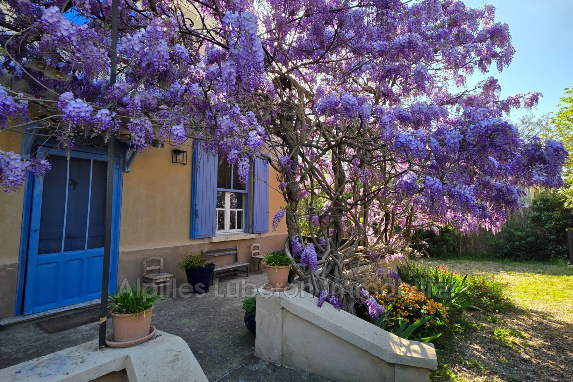 Agence immobilière de Alpilles Luberon Immobilier