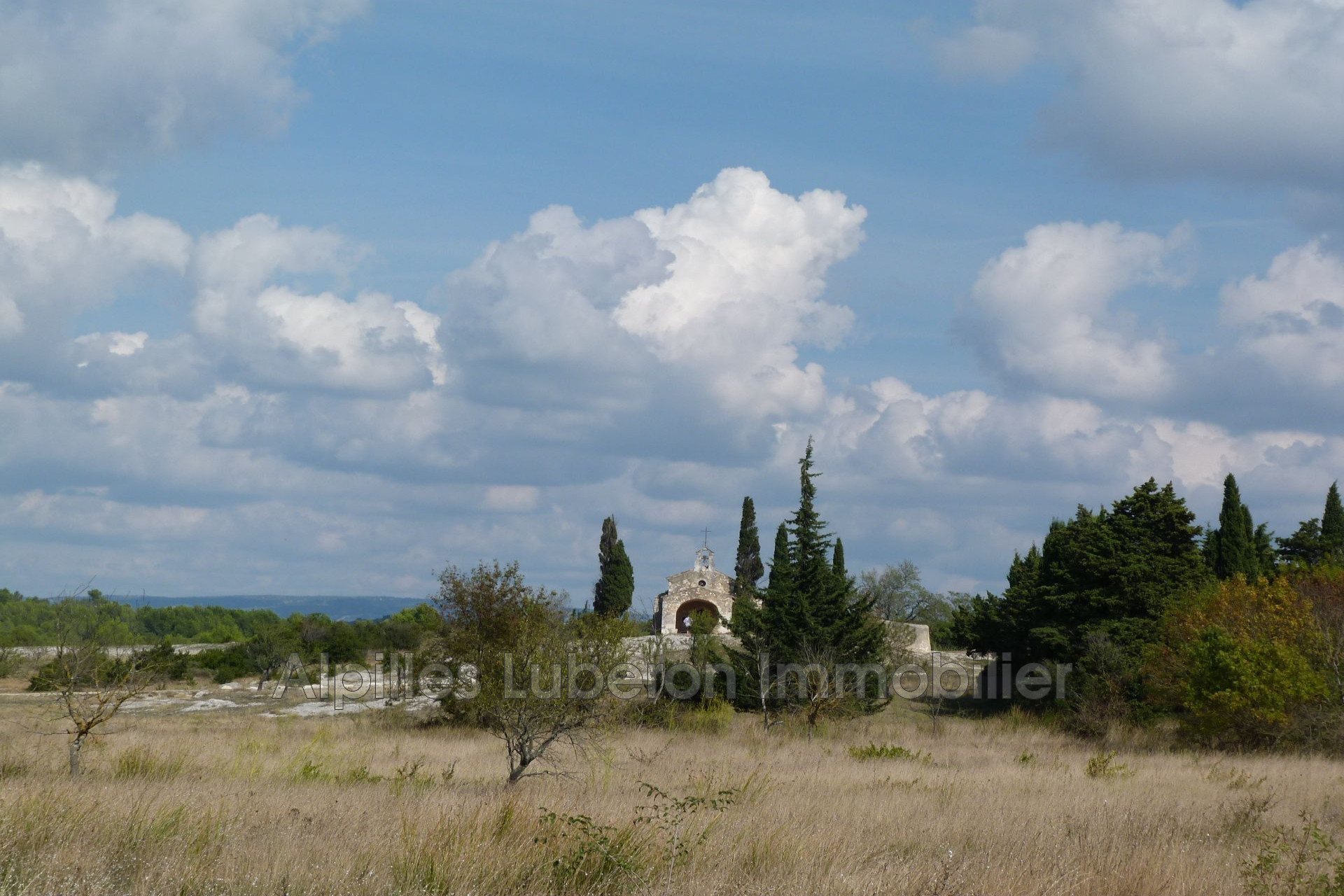 Agence immobilière de Alpilles Luberon Immobilier