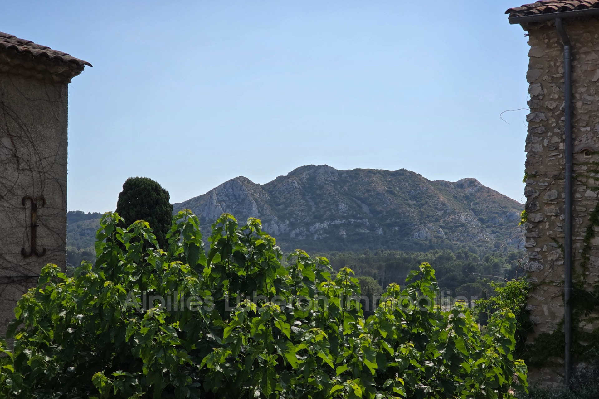 Agence immobilière de Alpilles Luberon Immobilier