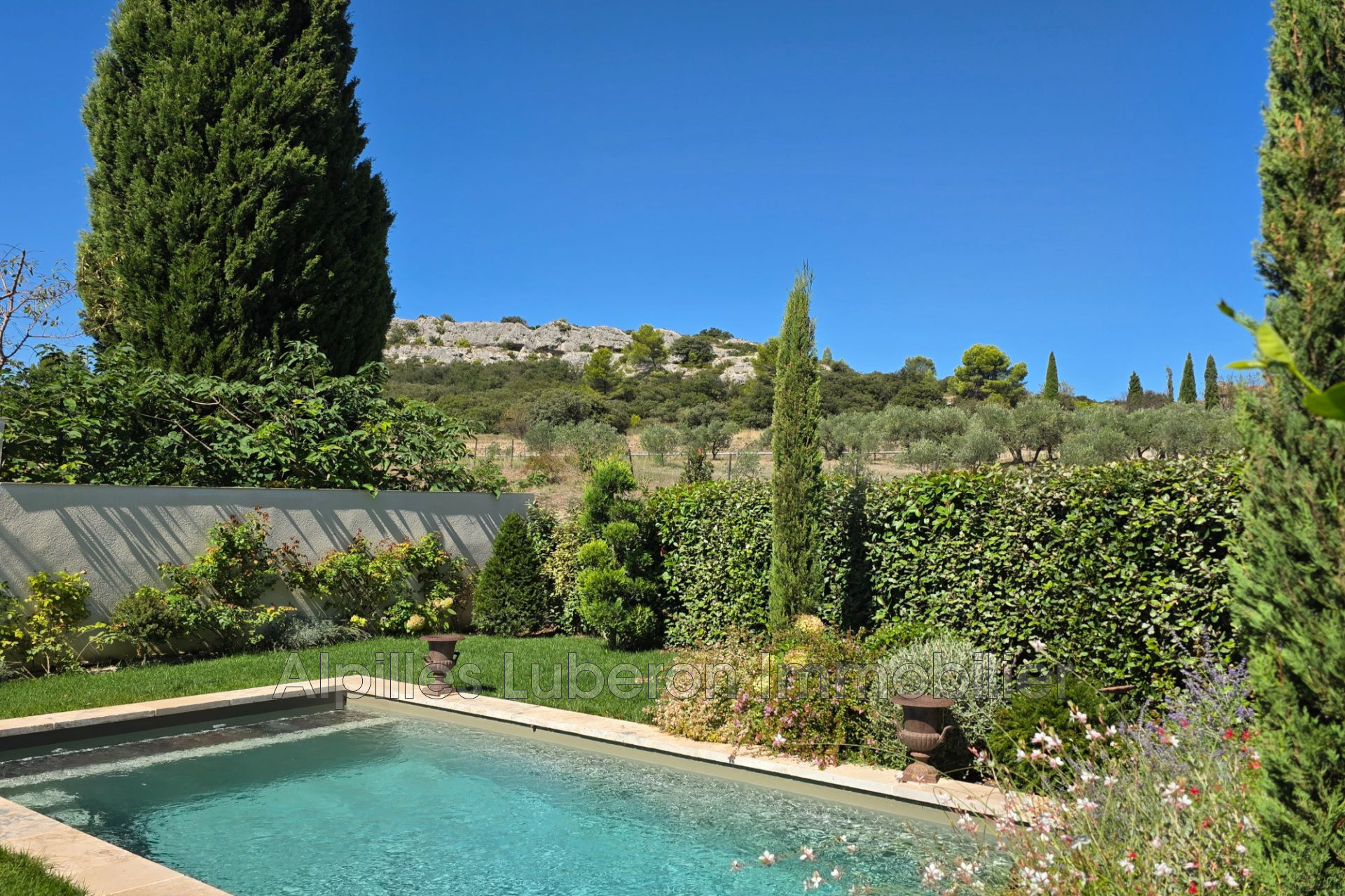 Agence immobilière de Alpilles Luberon Immobilier
