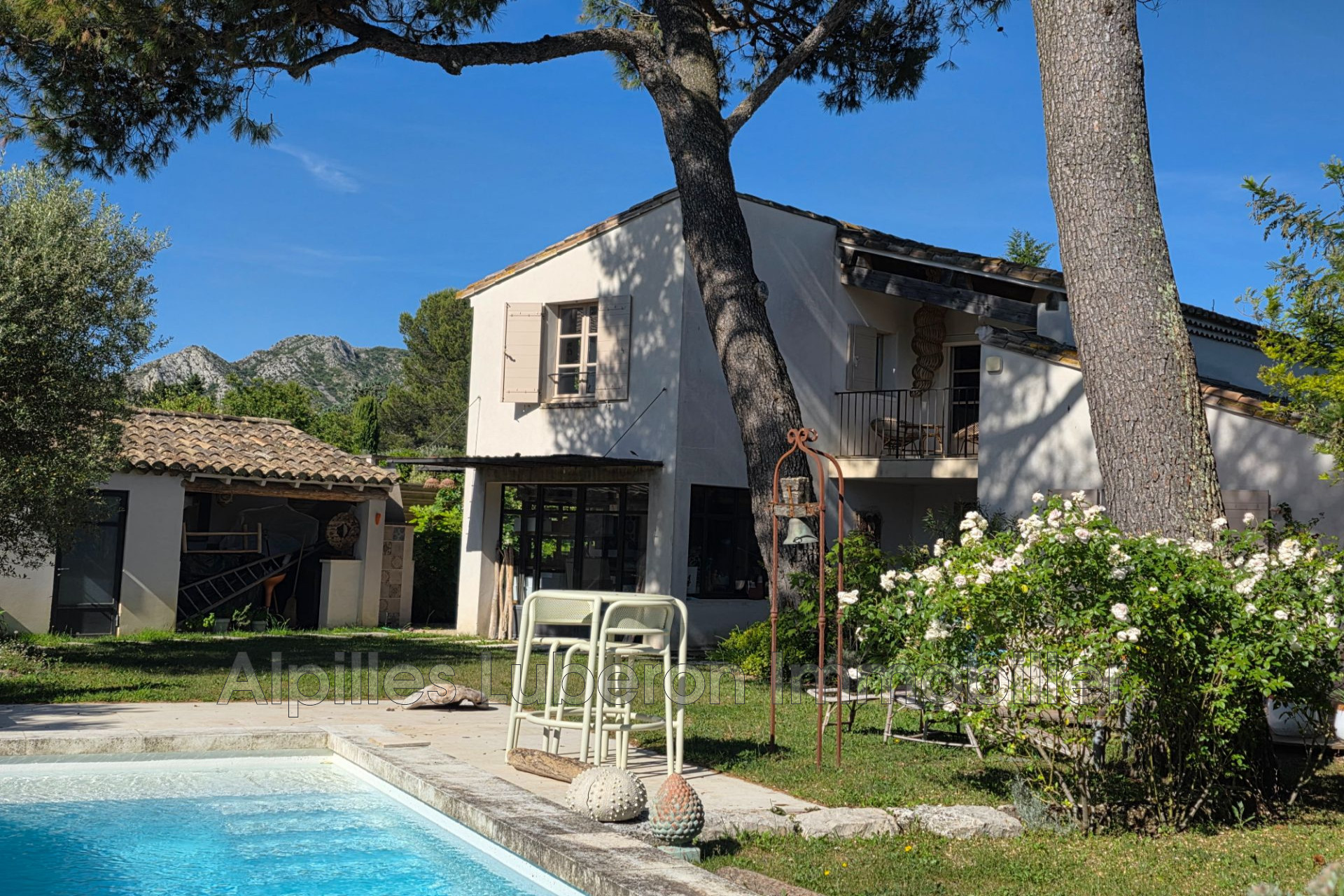 Agence immobilière de Alpilles Luberon Immobilier