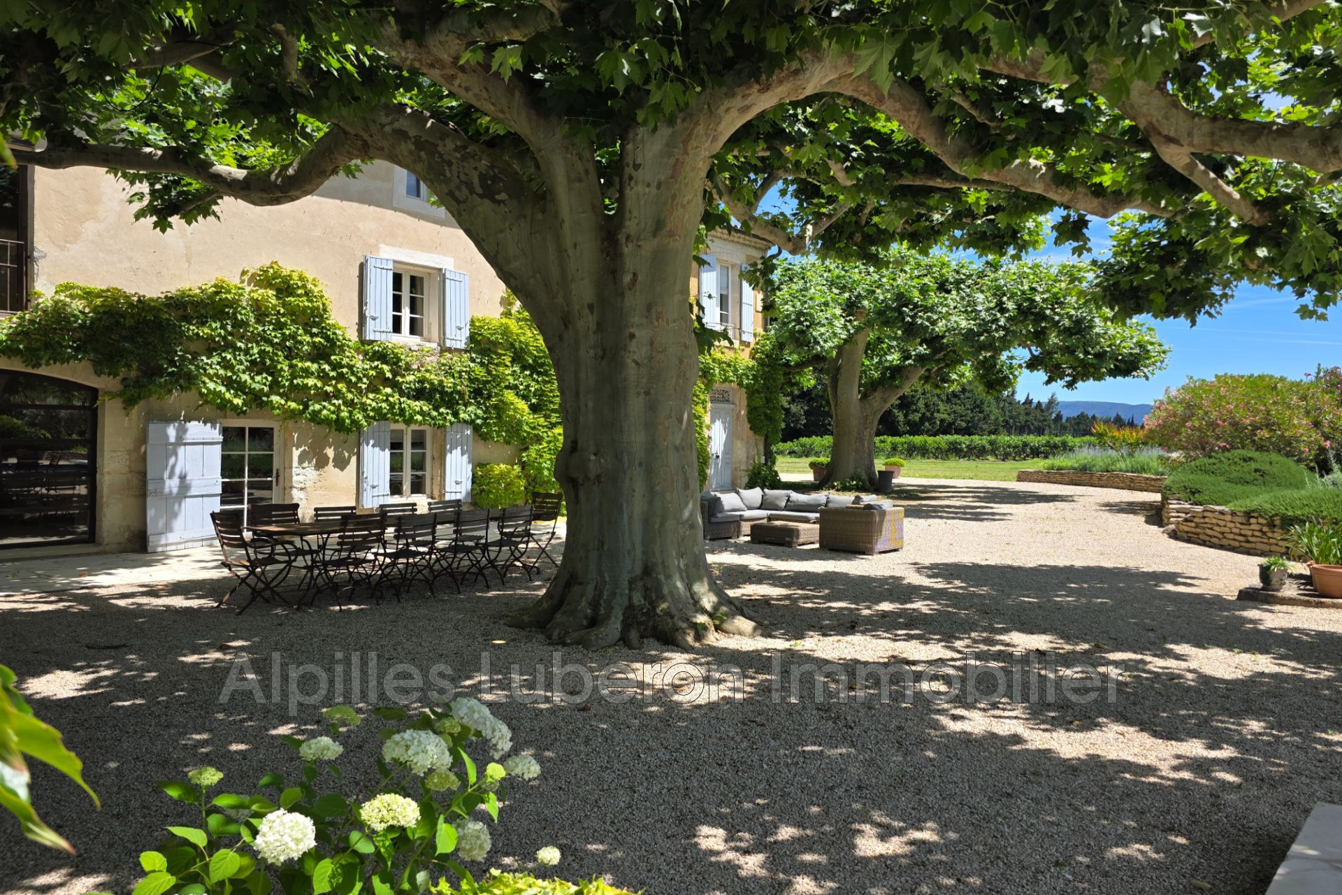 Agence immobilière de Alpilles Luberon Immobilier