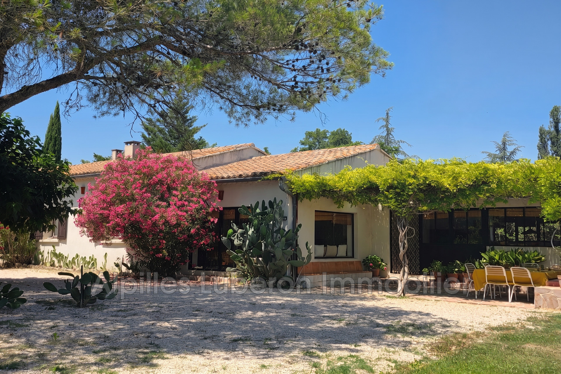 Agence immobilière de Alpilles Luberon Immobilier