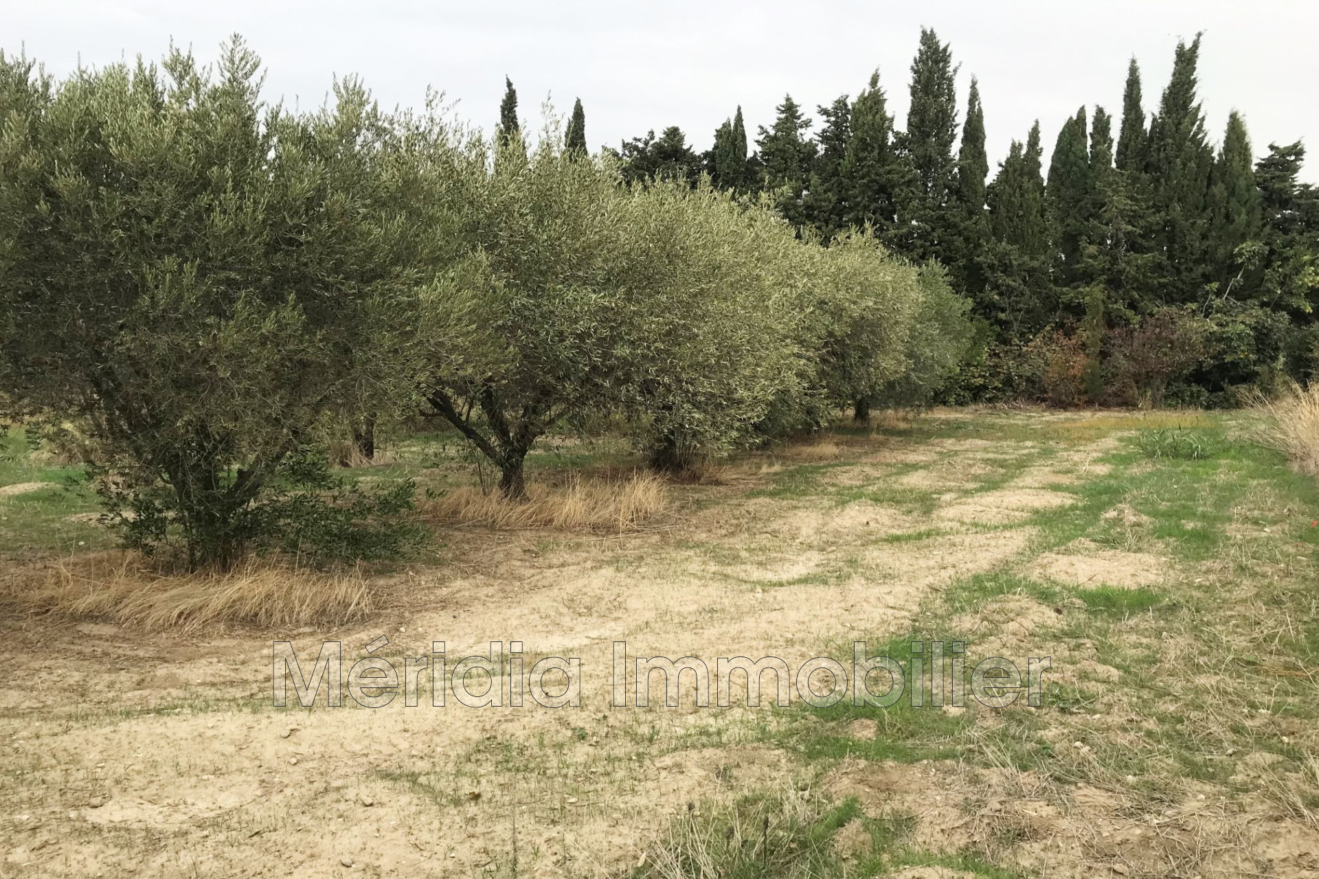 Agence immobilière de Méridia Immobilier