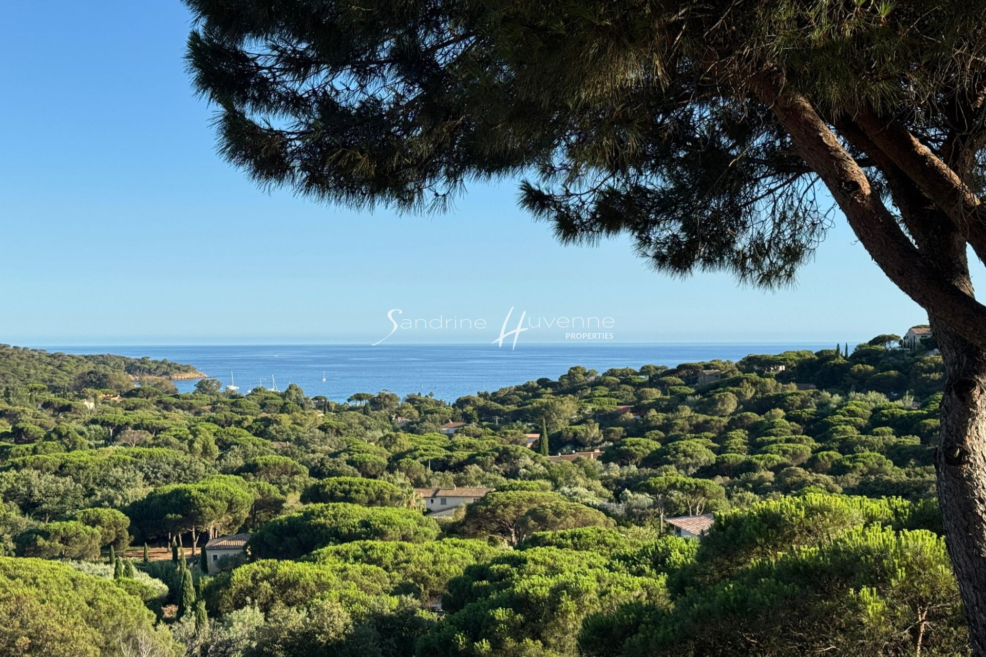 Agence immobilière de Sandrine Huvenne Properties