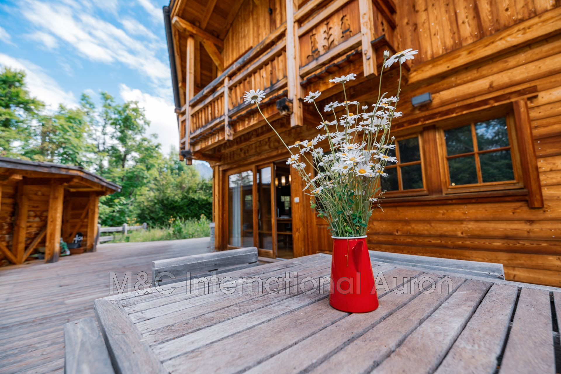 Agence immobilière de M&C International Auron