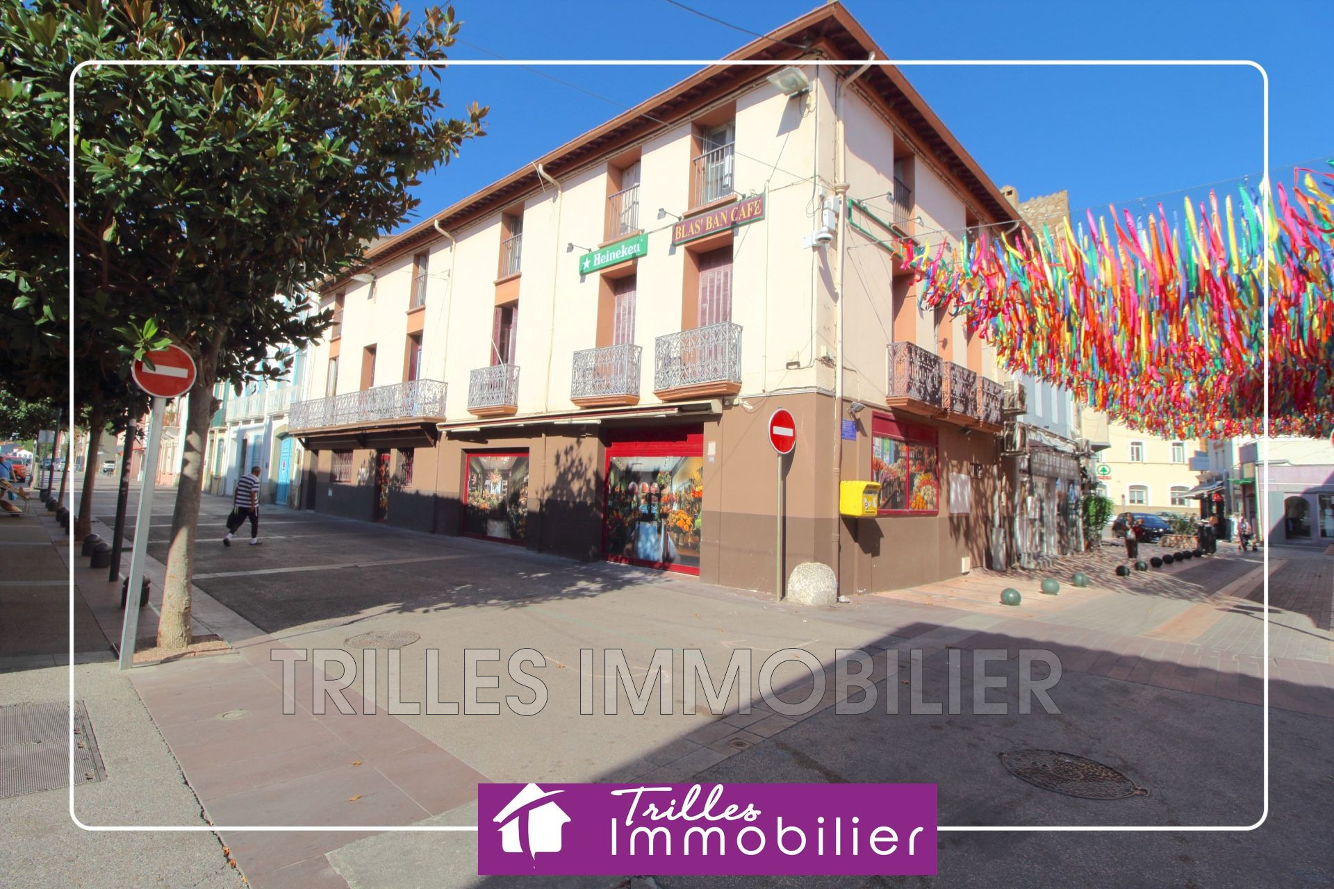 Agence immobilière de Trilles immobilier