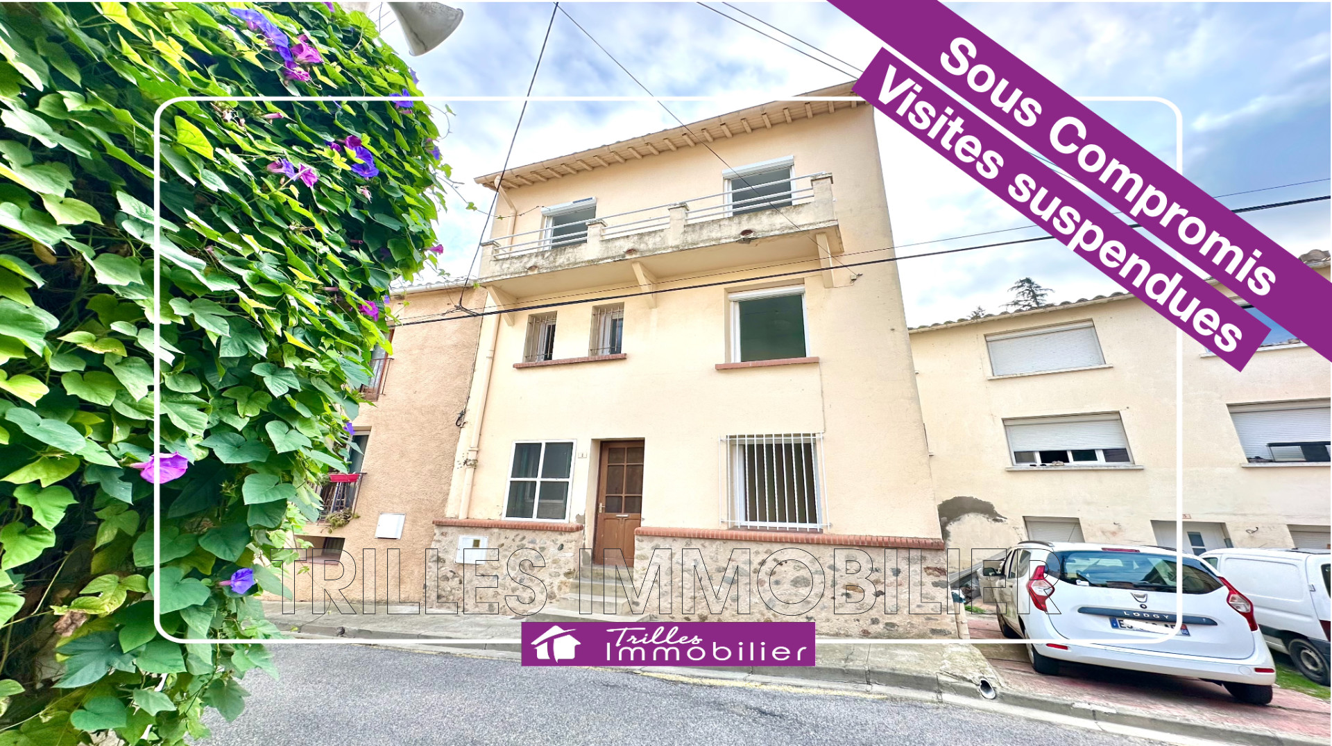 Agence immobilière de Trilles immobilier