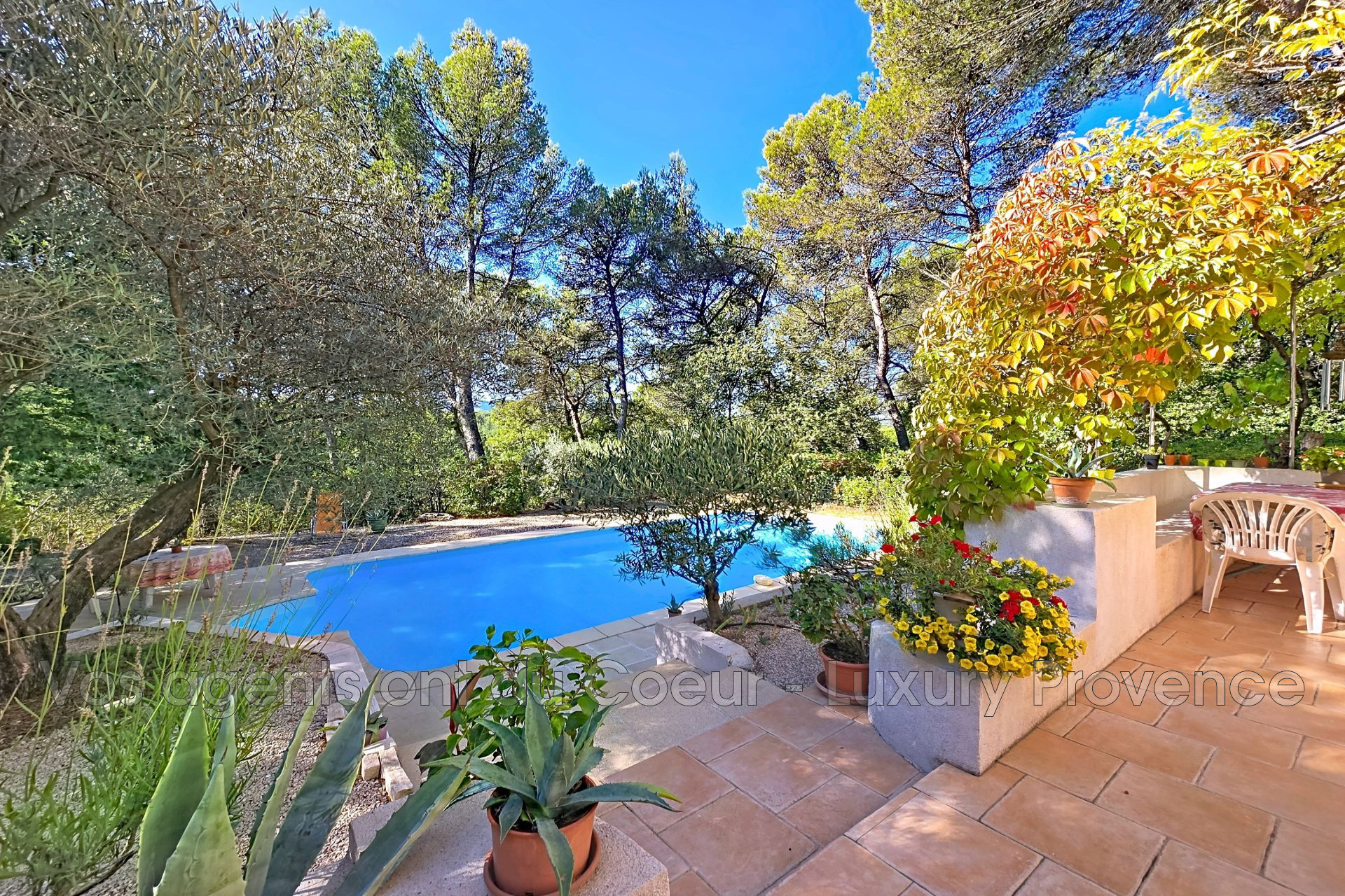 Agence immobilière de Luxury Provence