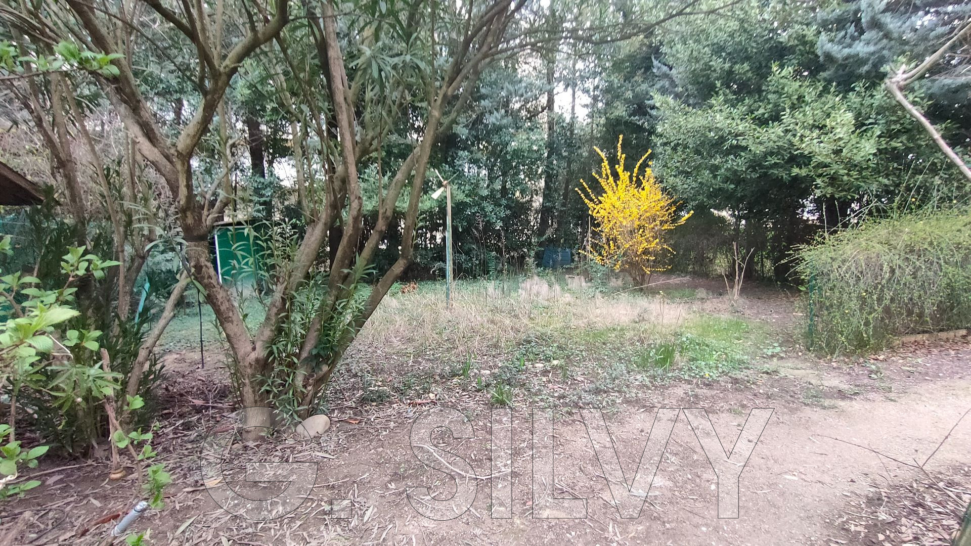 Agence immobilière de G. SILVY