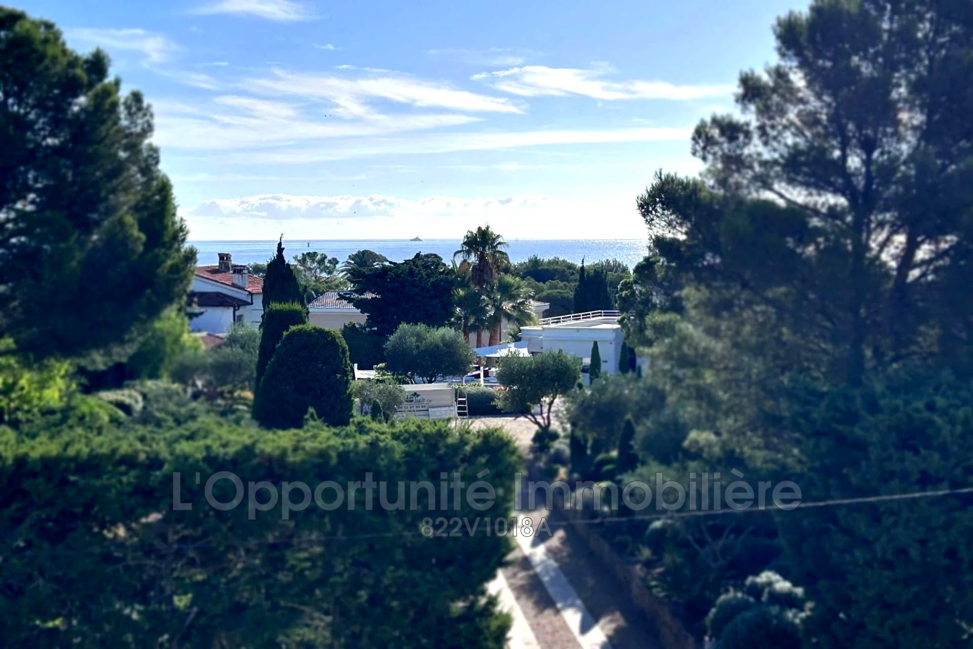 Agence immobilière de L'Opportunité Immobilière