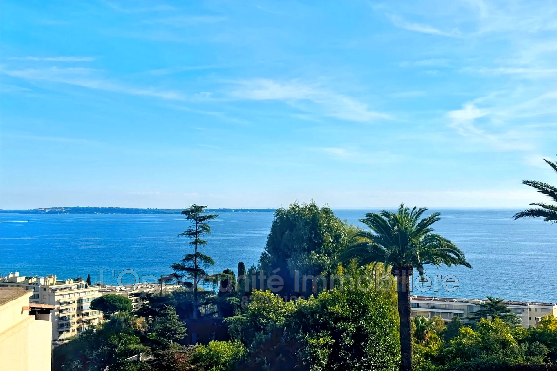 Agence immobilière de L'Opportunité Immobilière