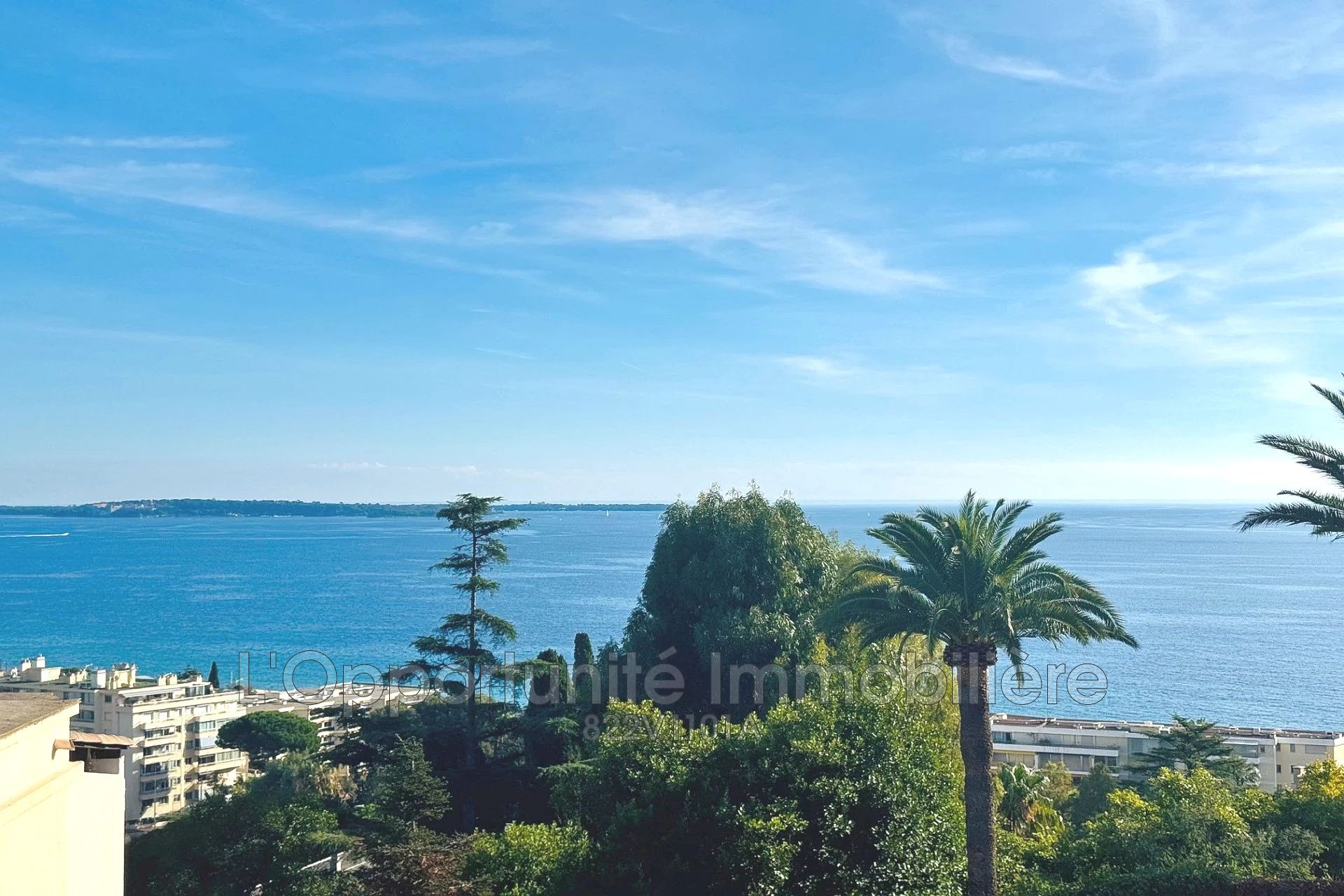 Agence immobilière de L'Opportunité Immobilière