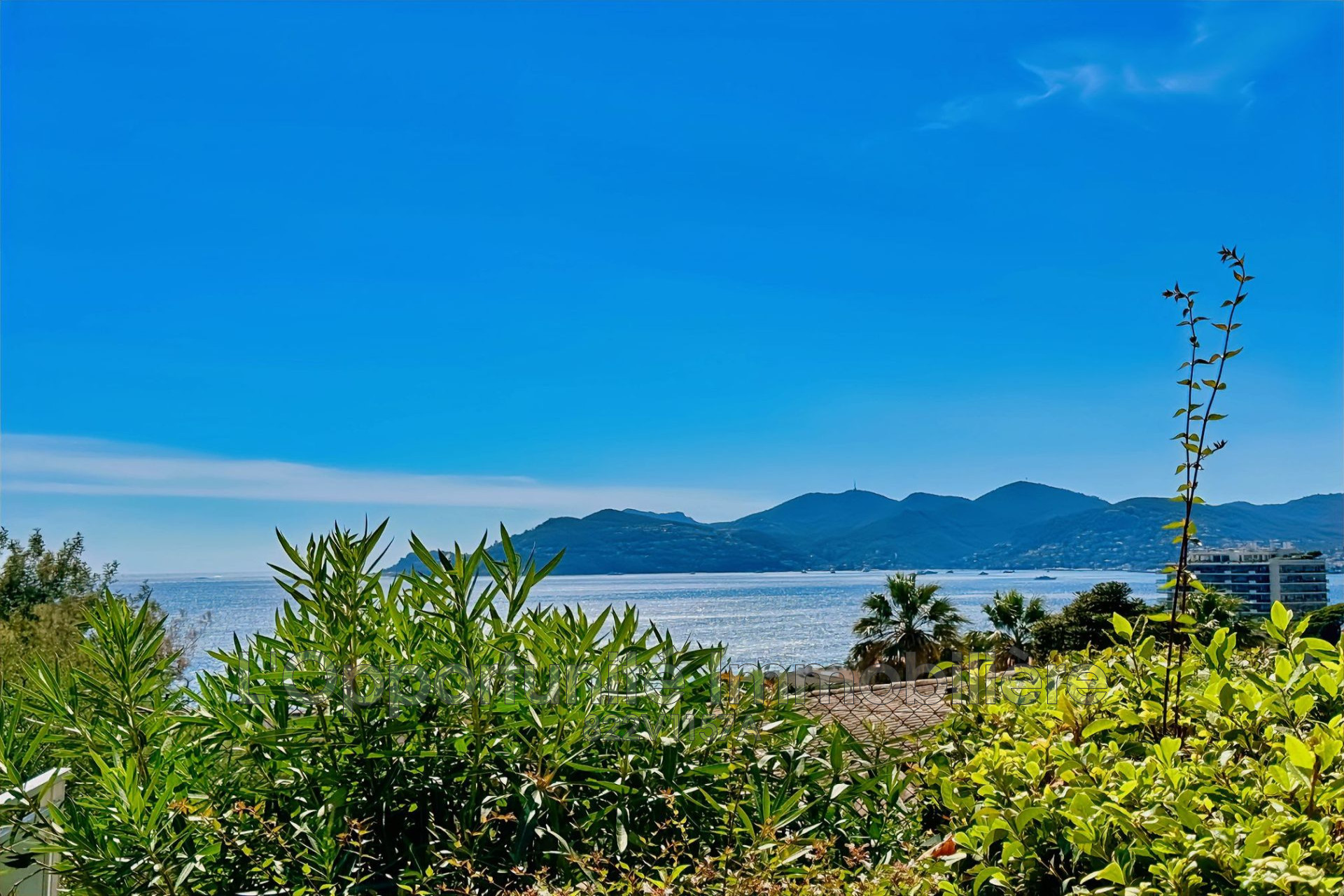 Agence immobilière de L'Opportunité Immobilière