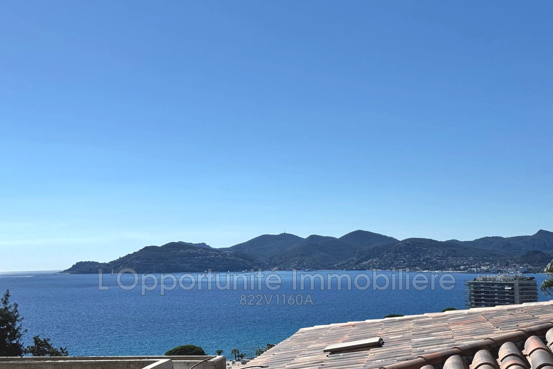 Agence immobilière de L'Opportunité Immobilière