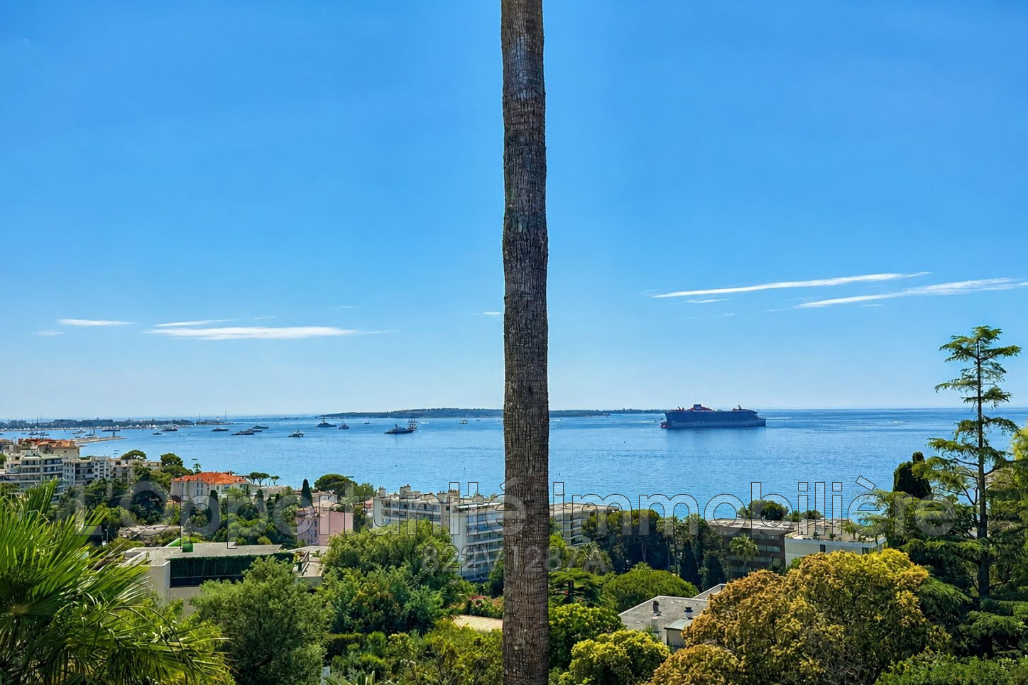 Agence immobilière de L'Opportunité Immobilière