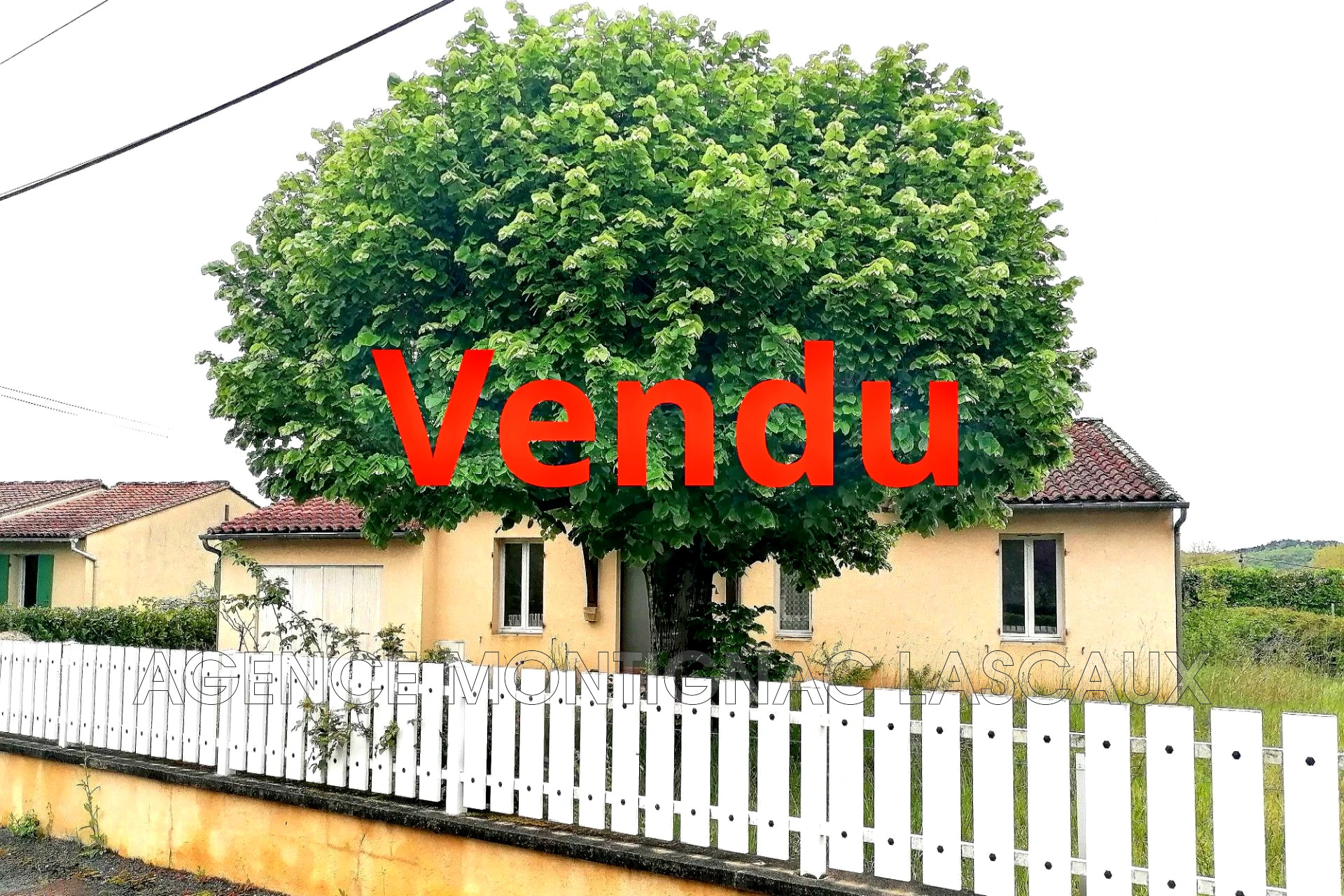 Agence immobilière de AGENCE MONTIGNAC LASCAUX